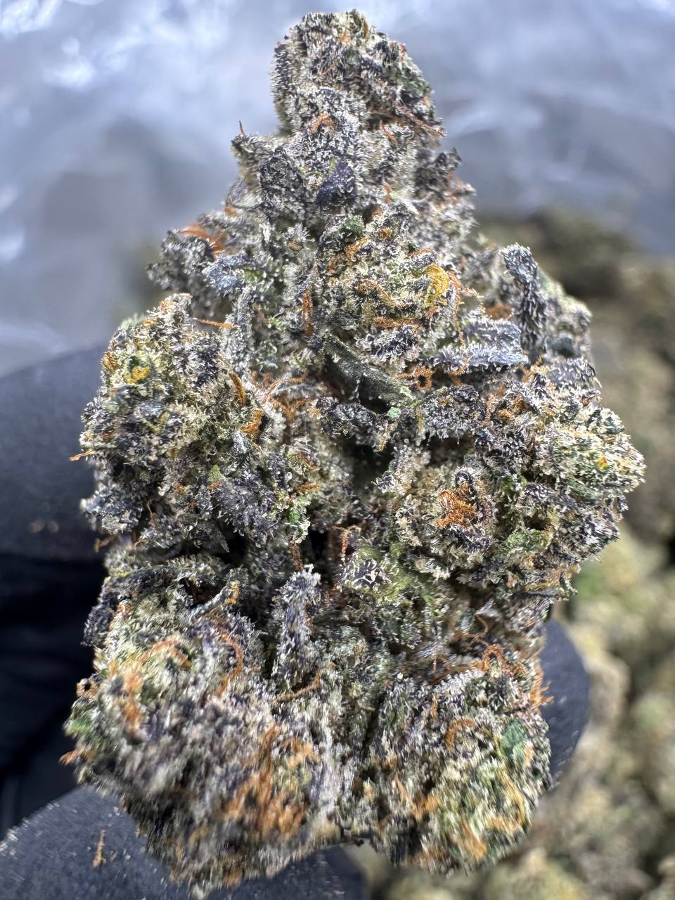 Cherry Pie Runtz - THCA Flower - Indoor Top Cut Exotic