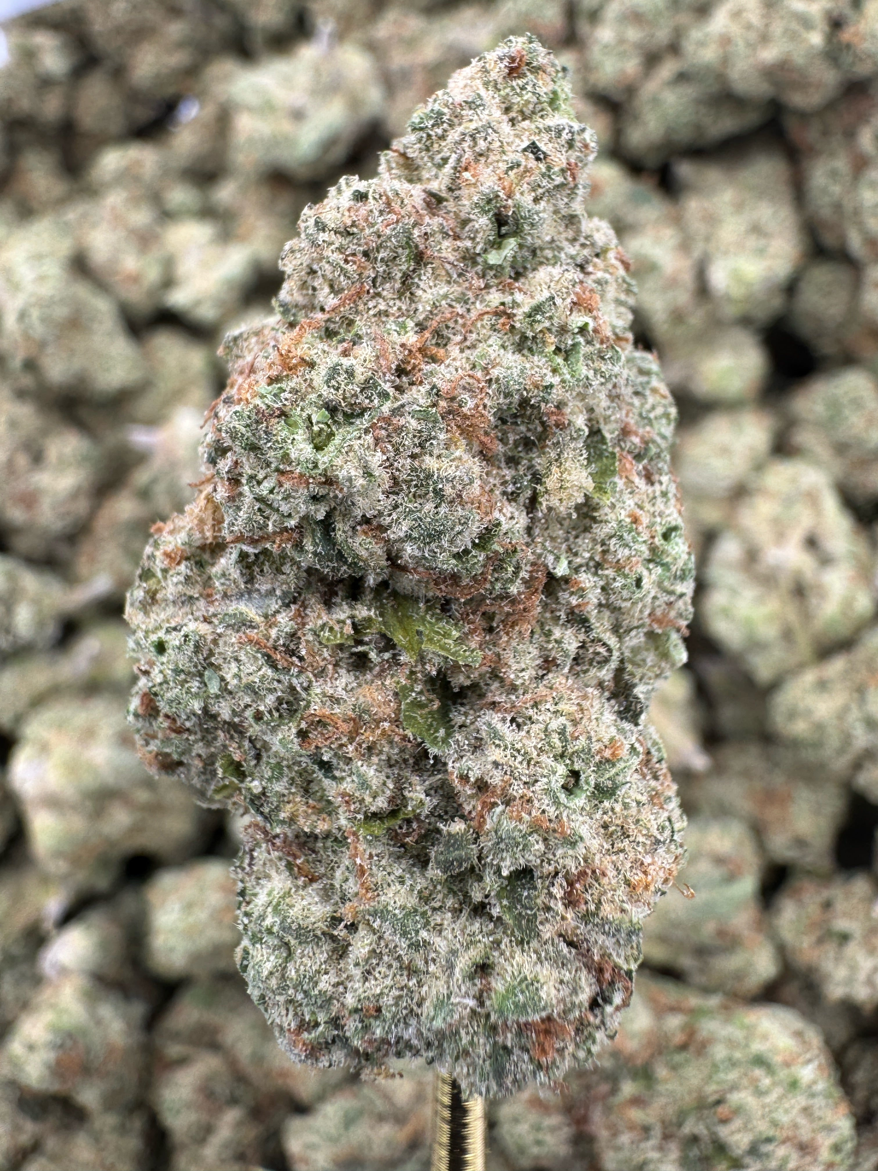 Clementine - THCA Flower - Indoor Top Cut