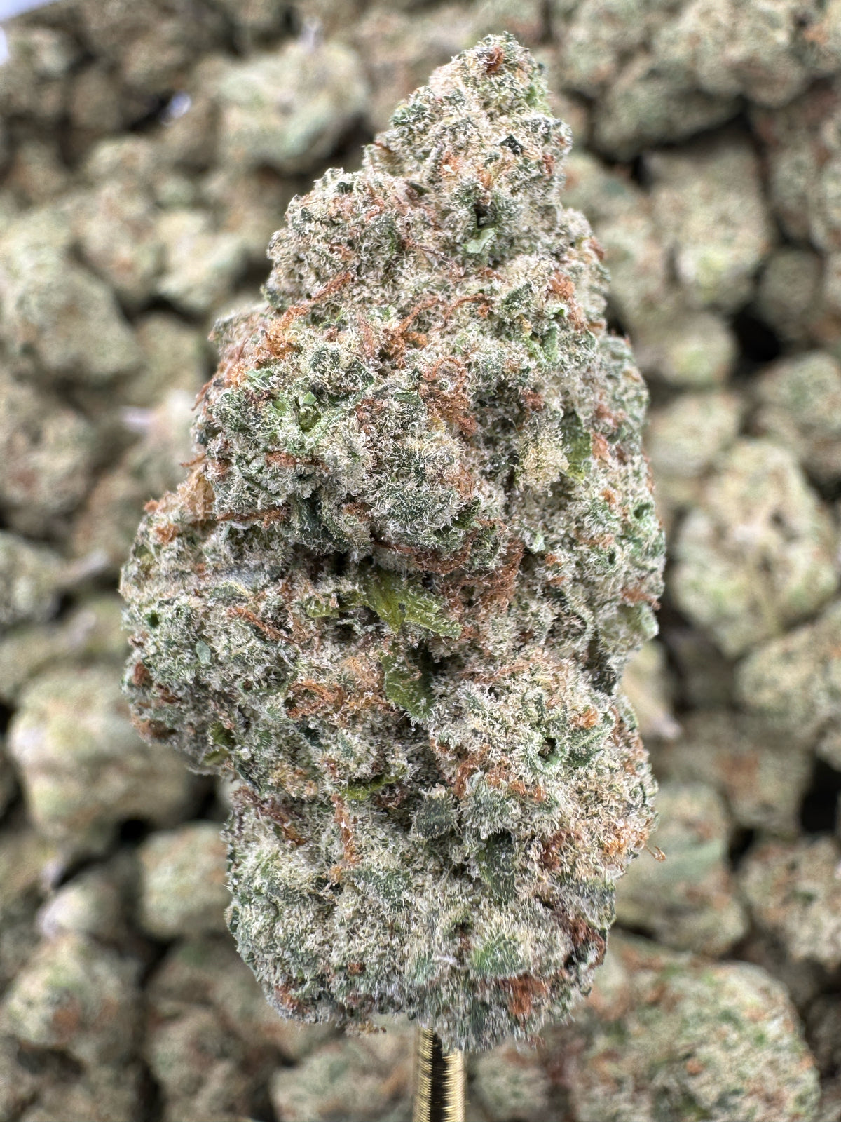 Clementine - THCA BULK Flower - Indoor