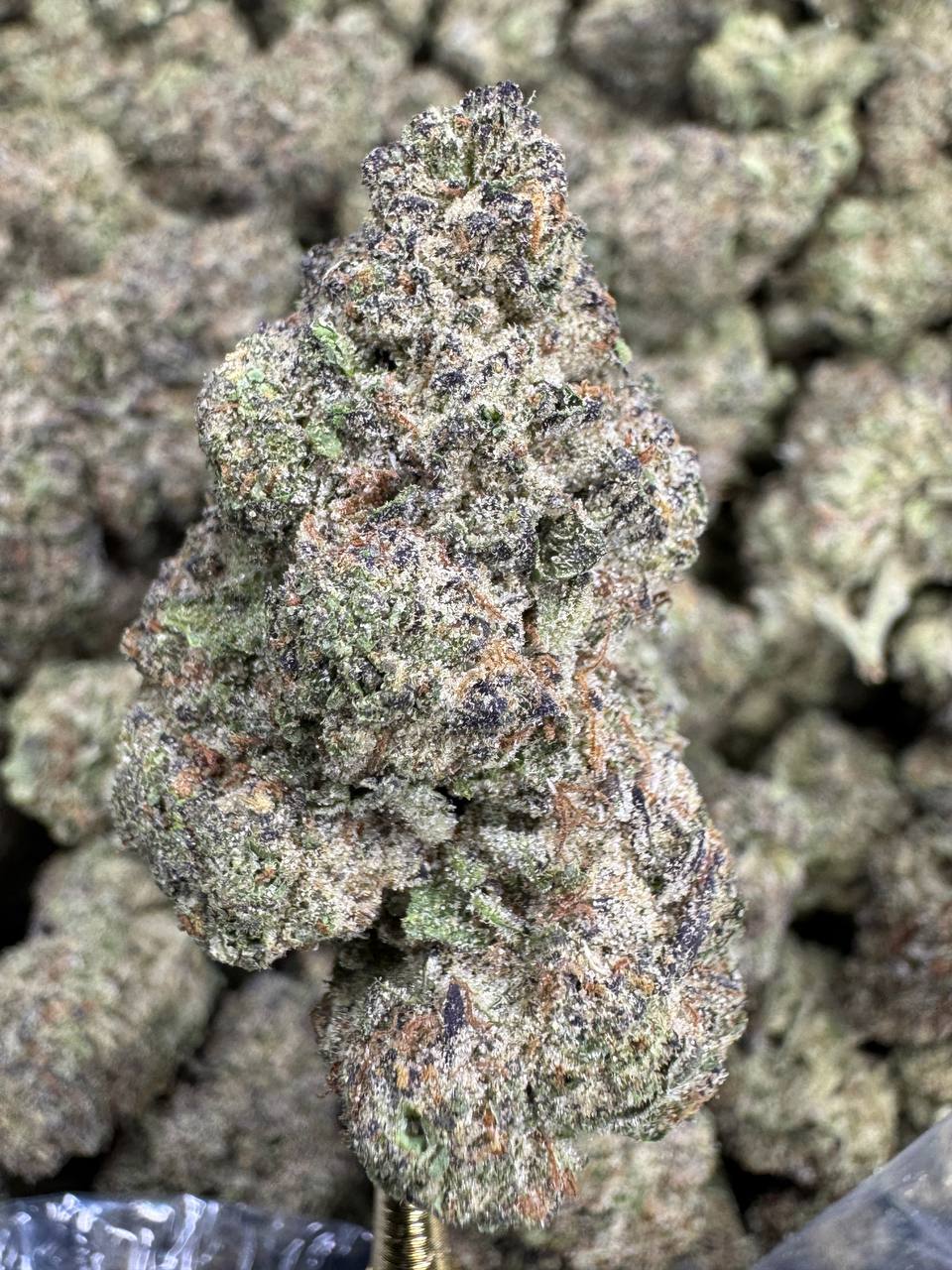 Cocolato - THCA BULK FLOWER - AAA