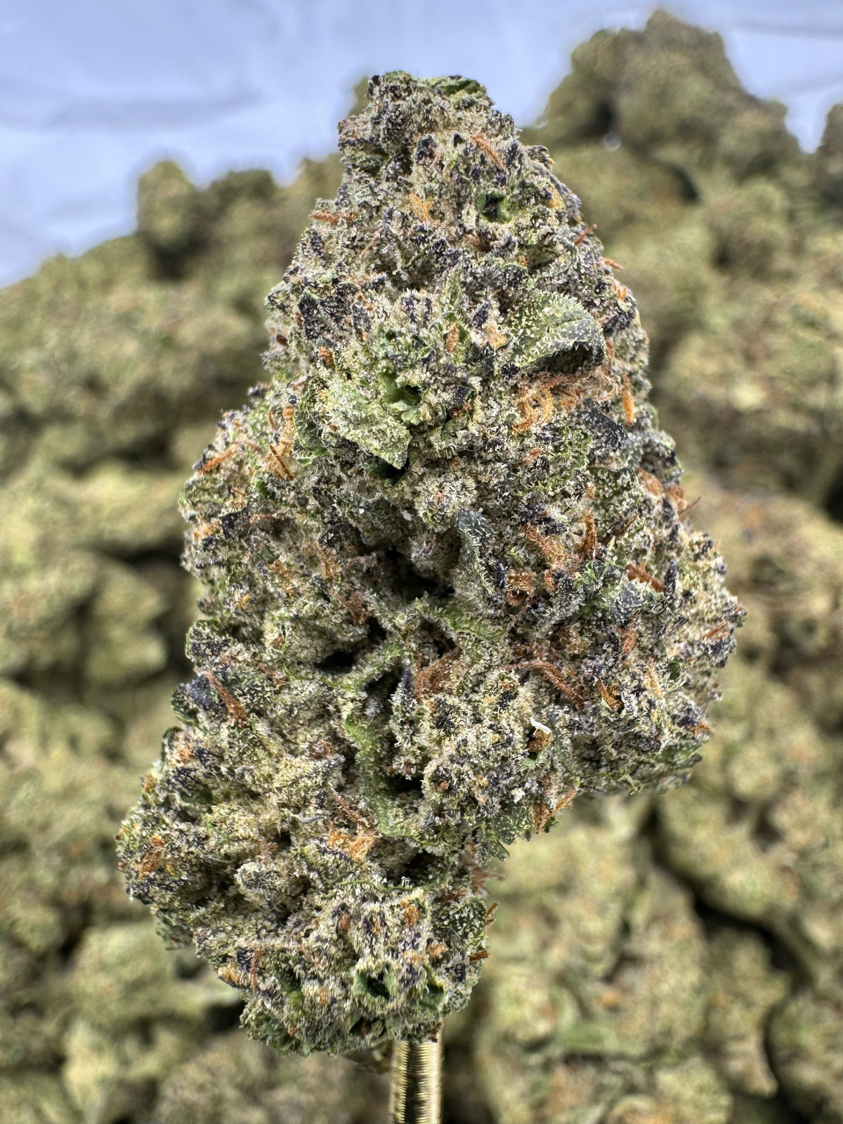 Cocolato - THCA BULK Flower - Indoor