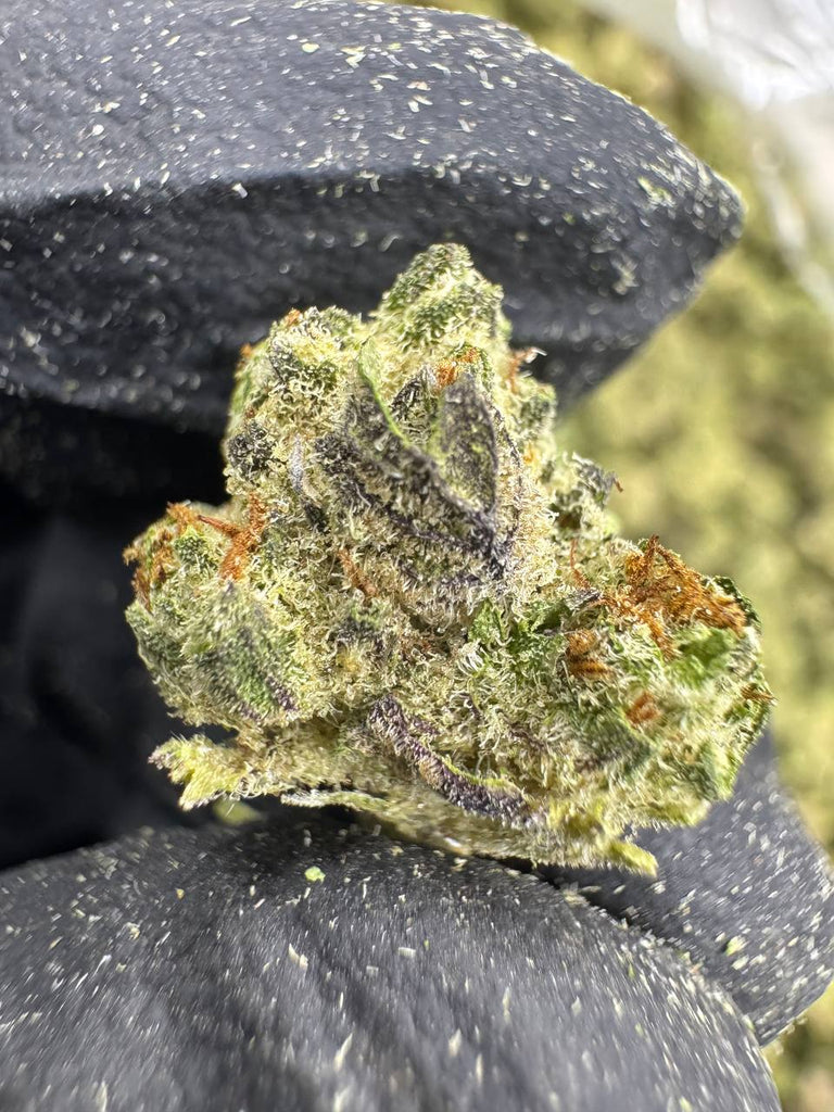 Cookies and Cream - THCA BULK FLOWER - AAA SMALLS