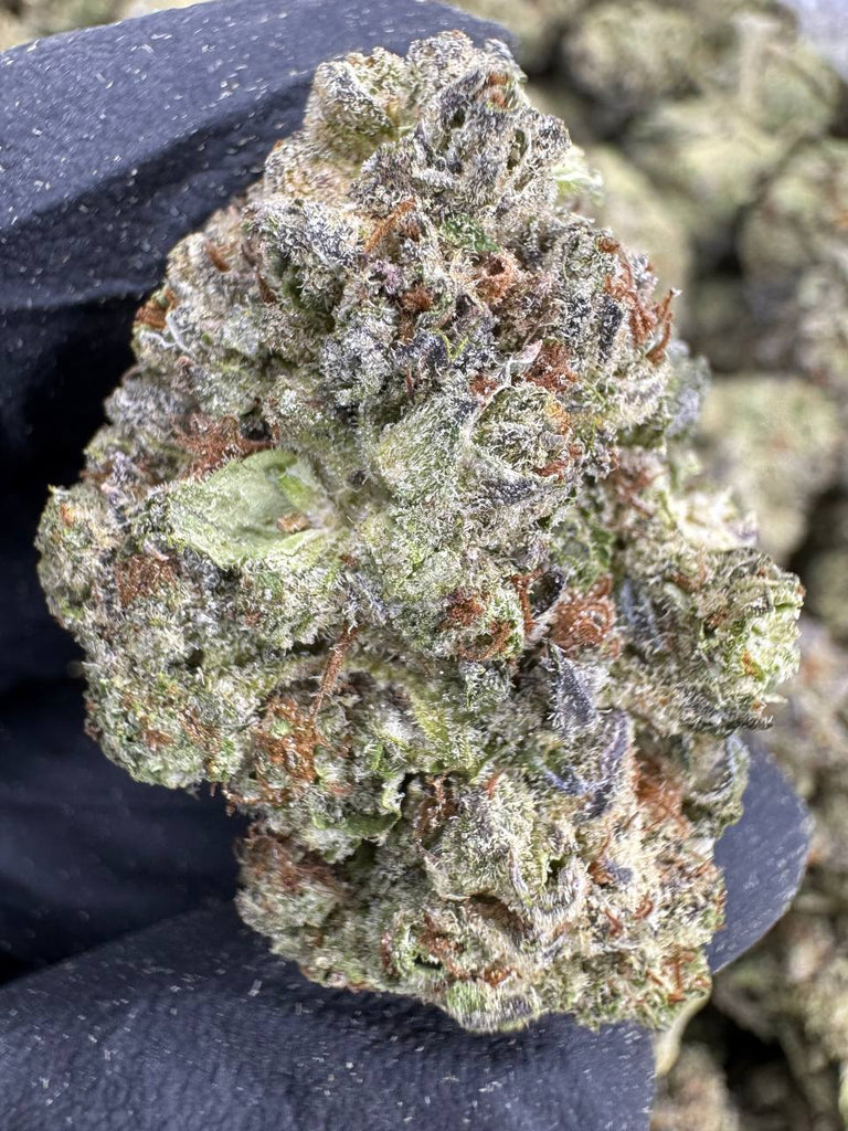 Cookies and Cream - THCA BULK FLOWER - AAA INDOOR