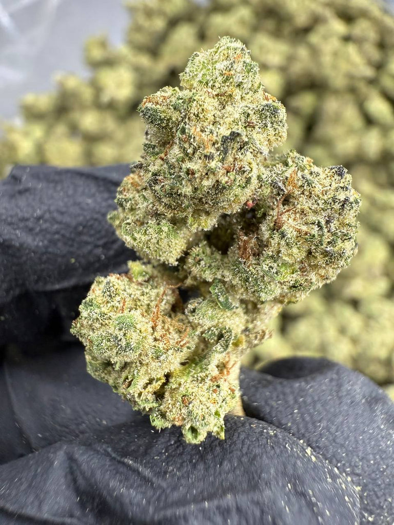 Cookies and Cream - THCA BULK FLOWER - MEDIUMS- AAA INDOOR