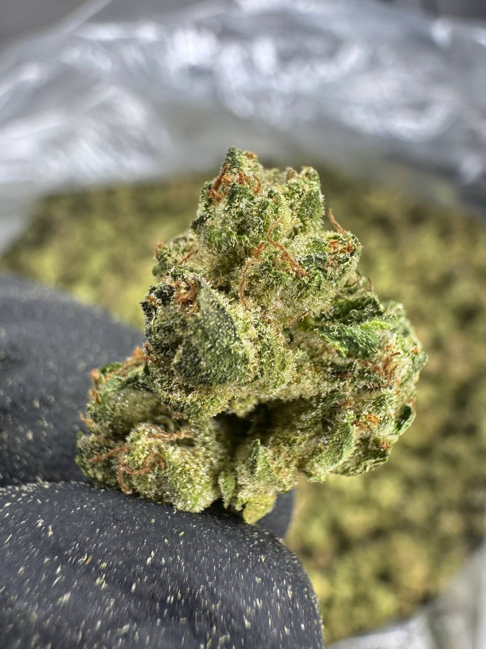 Cookies and cream - THCA BULK Flower - Greenhouse Smalls