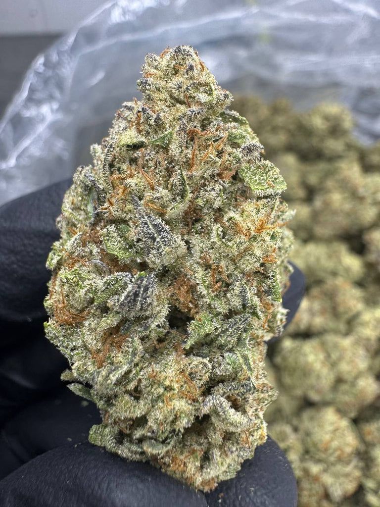 Cookies and Cream - THCA BULK FLOWER - TOP SHELF