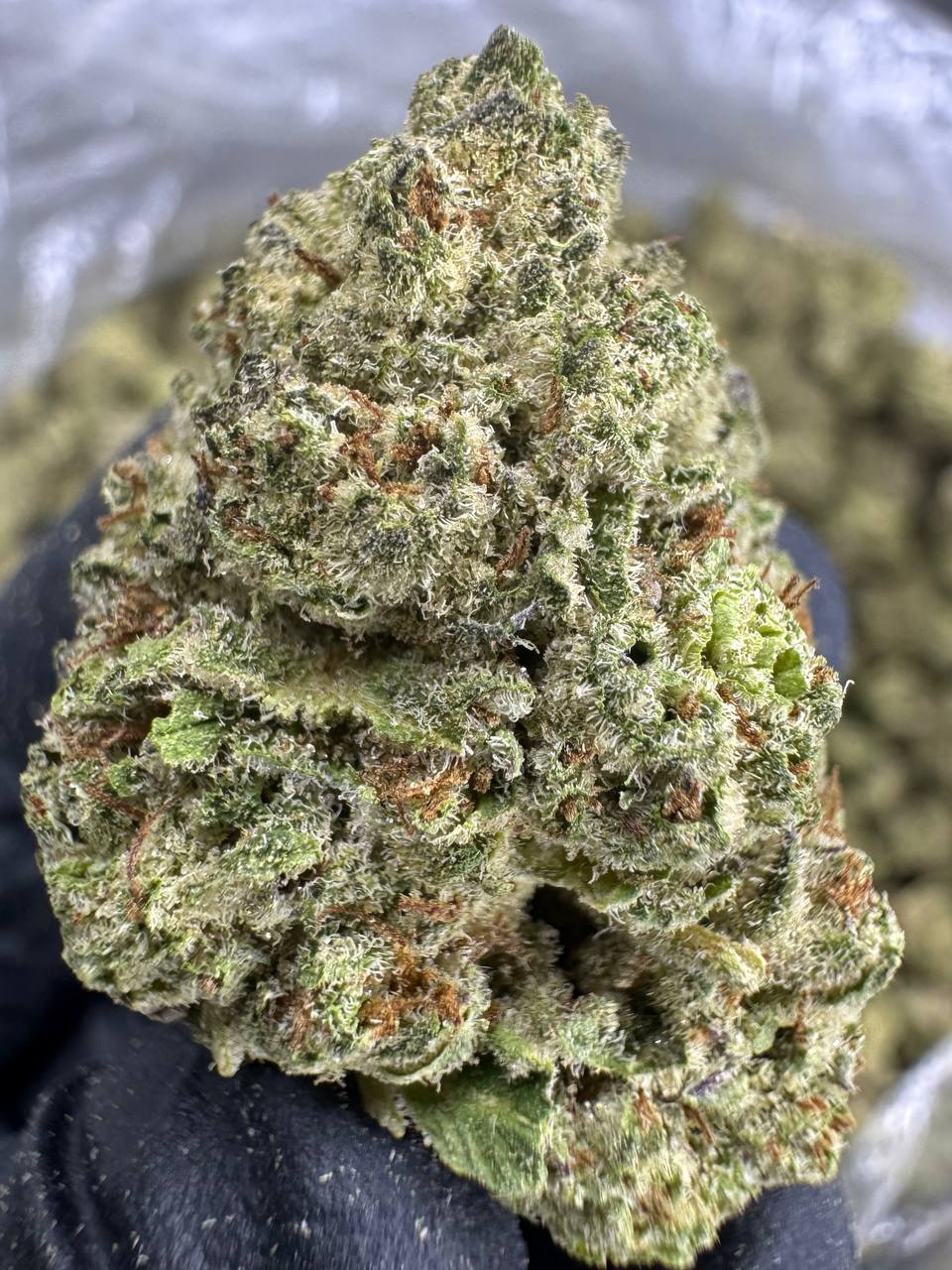 Cookies and Cream - THCA BULK Flower - Indoor