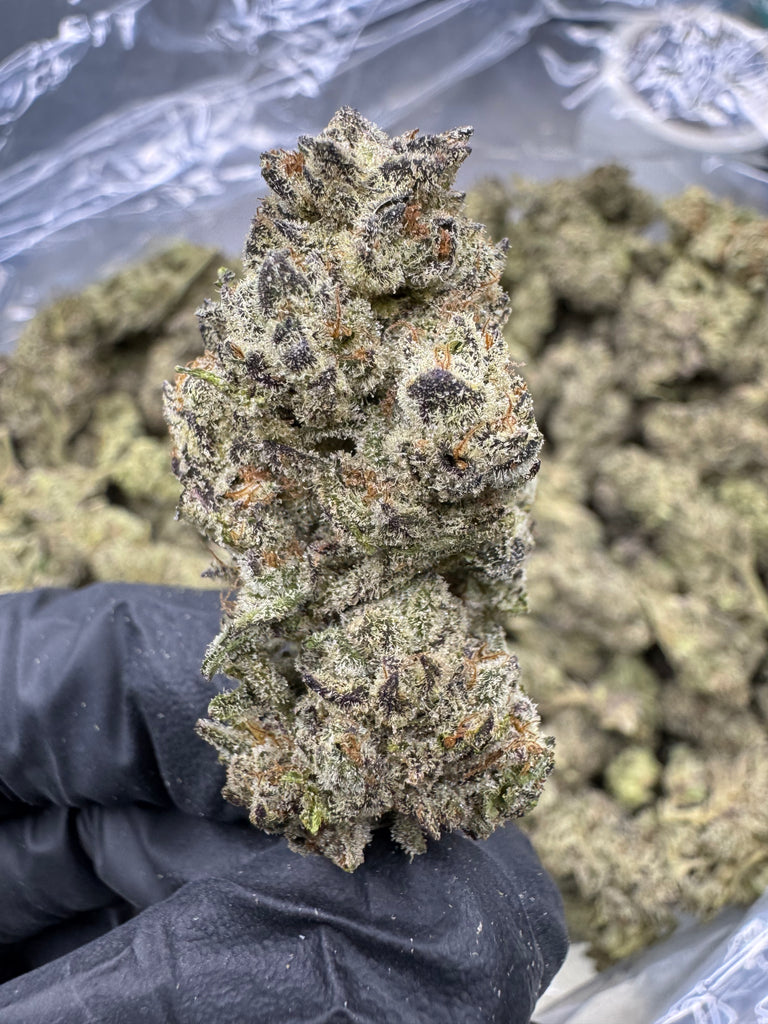 Cookies and Cream - THCA BULK FLOWER - AAA INDOOR