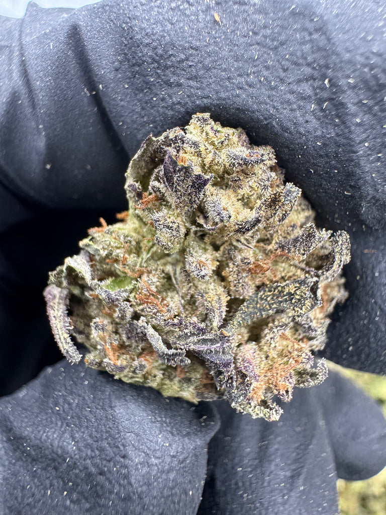 Cookies and cream - THCA BULK FLOWER - TOP SHELF SMALLS