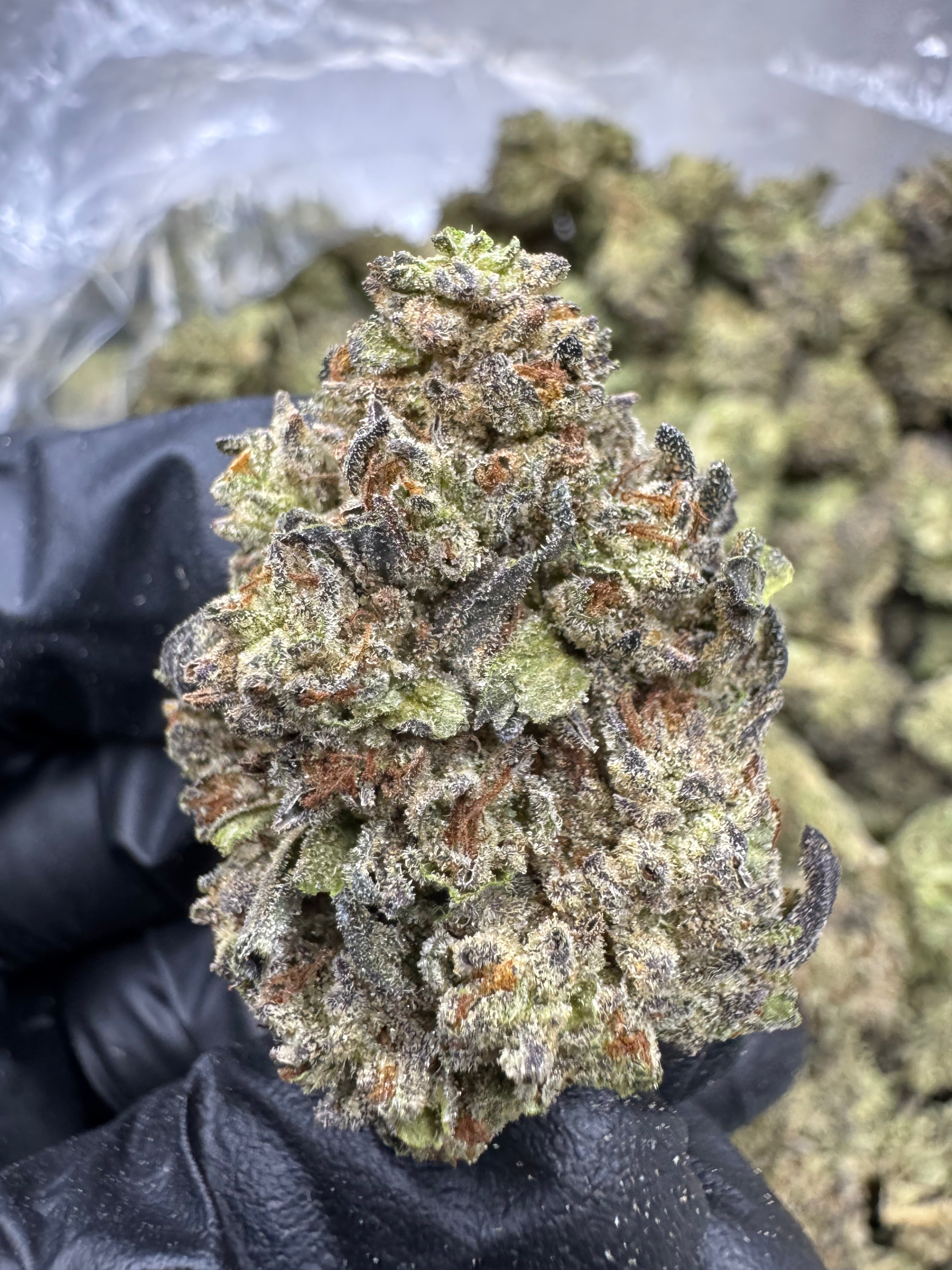Cookies and Cream - THCA Flower - Greenhouse Top Cut