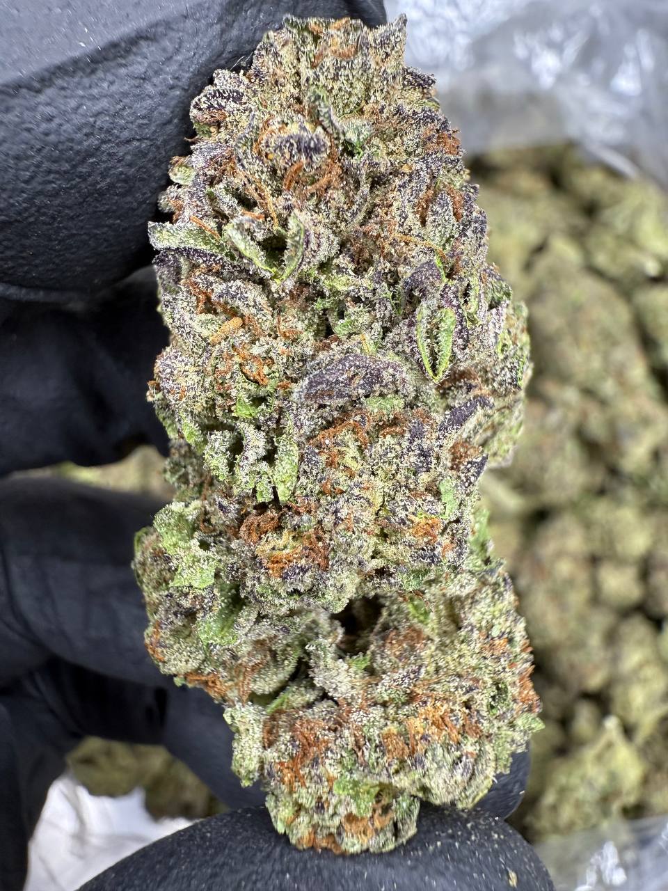 Cosmic Runtz - THCA BULK FLOWER - AA INDOOR
