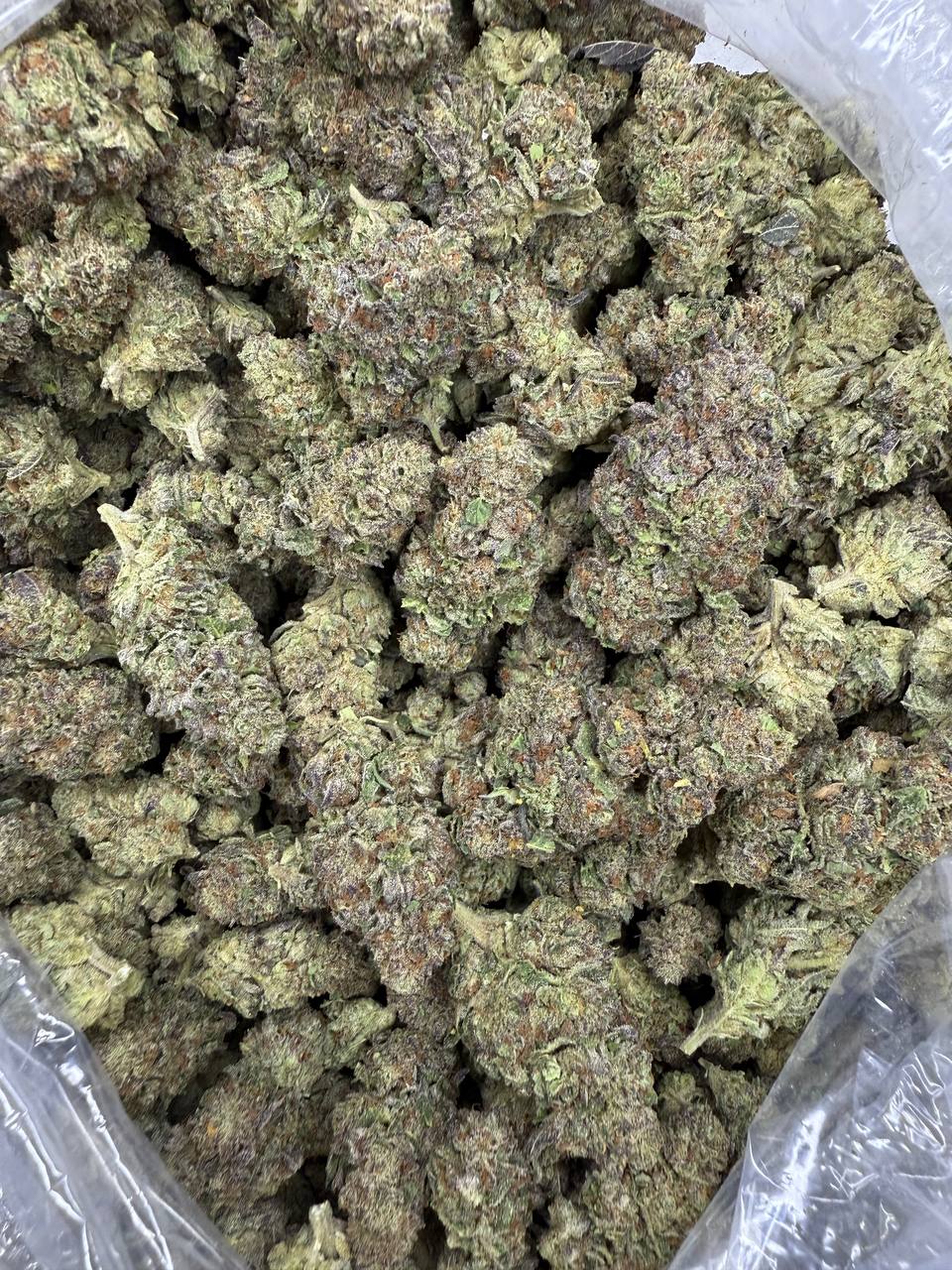 Cosmic Runtz - THCA BULK FLOWER - AA INDOOR