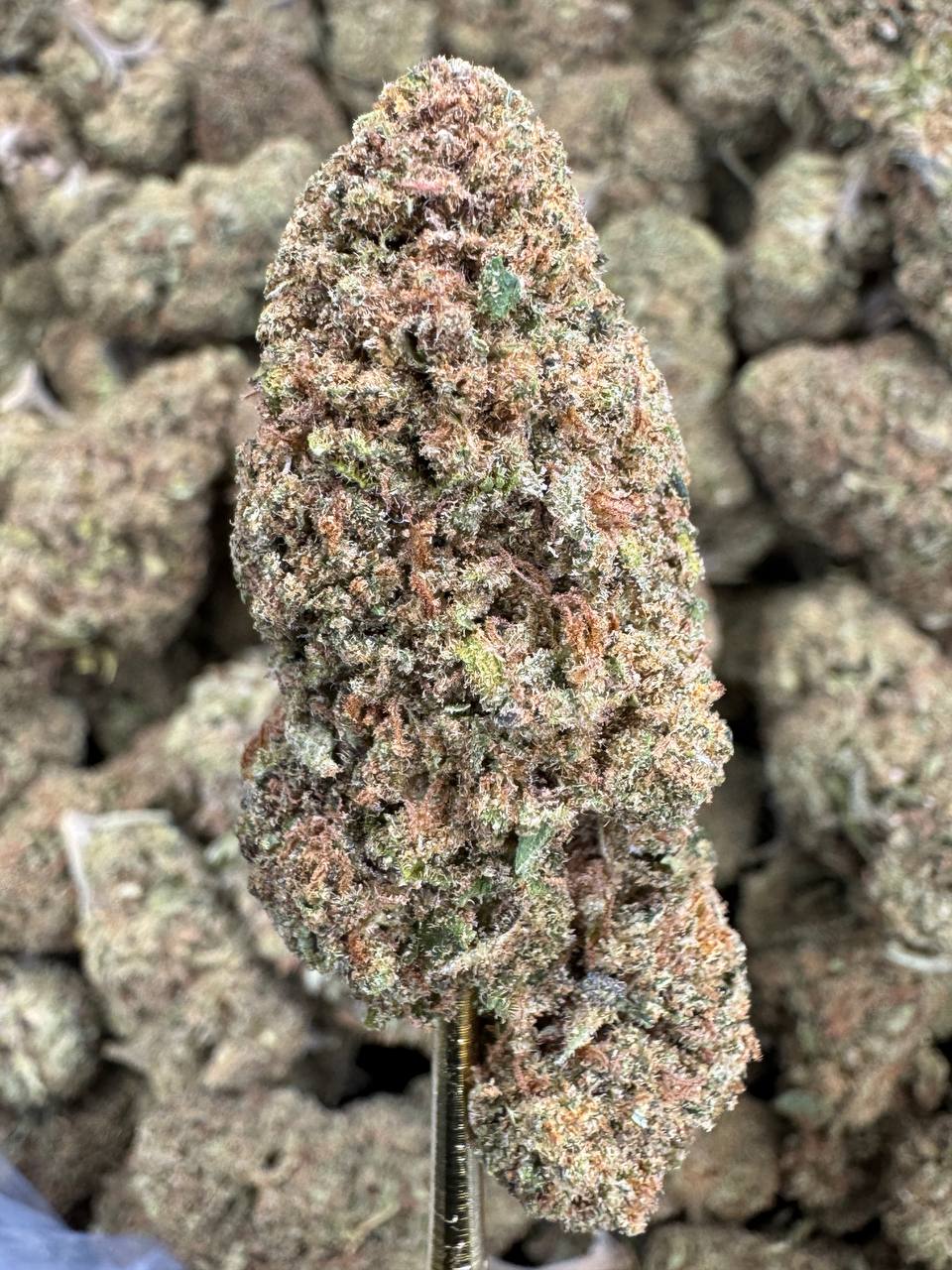 Critical Berries - CBD BULK FLOWER