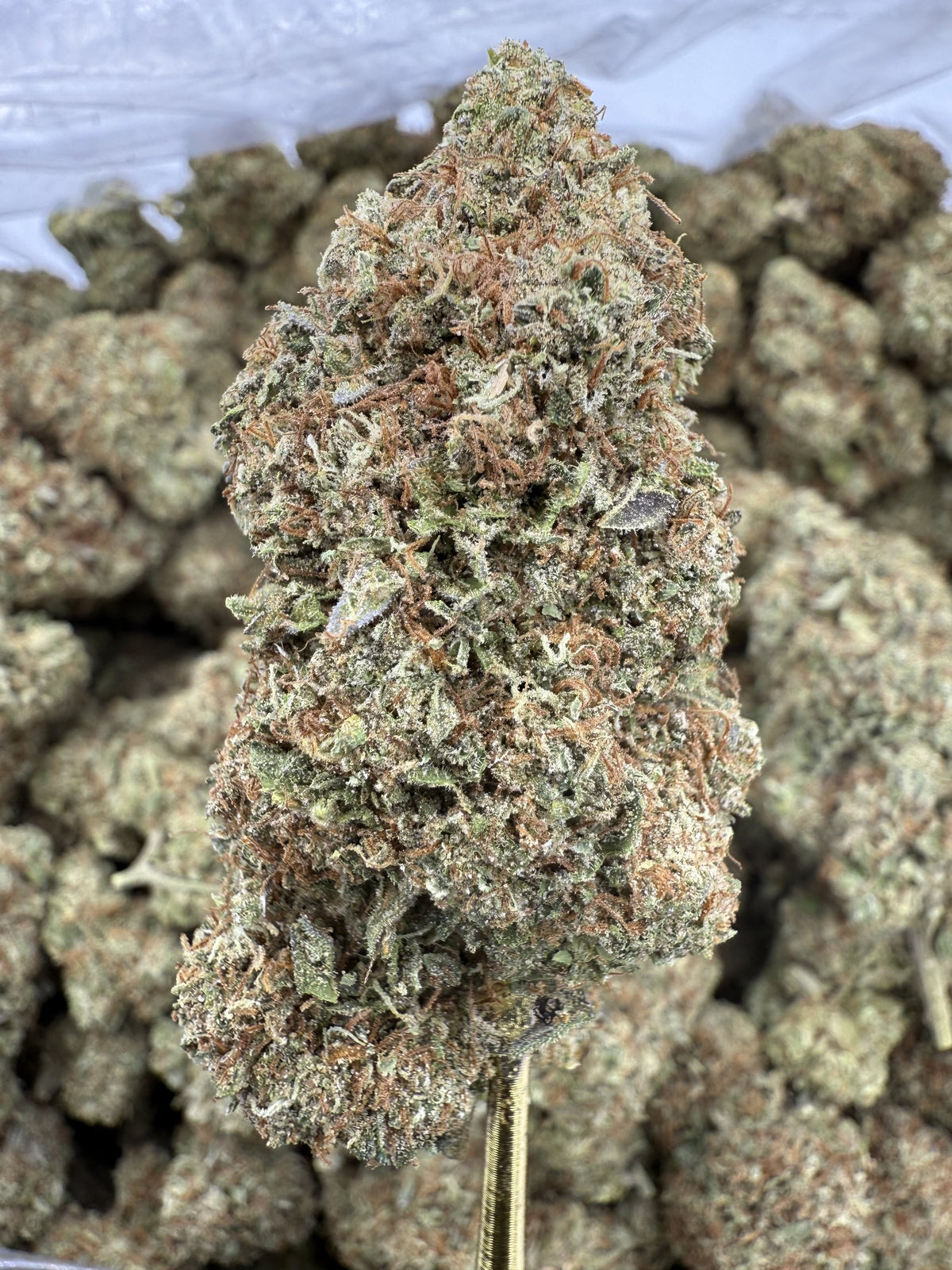 Crunch Berries - THCA BULK Flower - Greenhouse