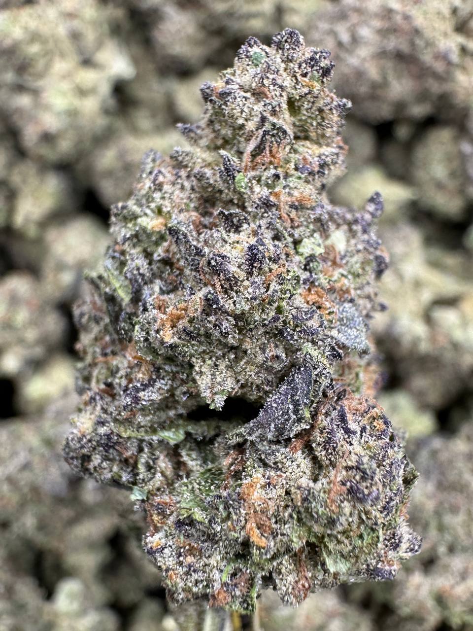 Crunch Berries - THCA BULK FLOWER - AAA