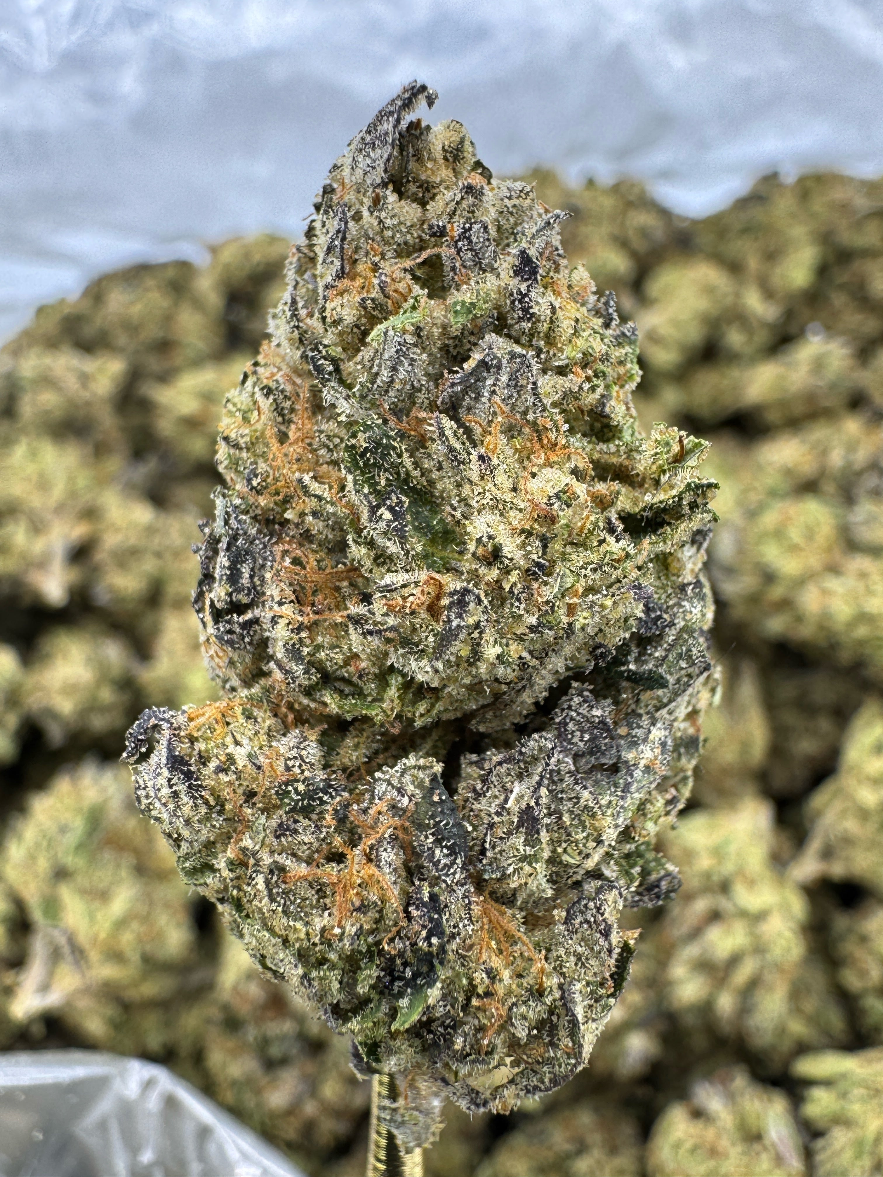 Dark Rainbow - THCA BULK Flower - Indoor
