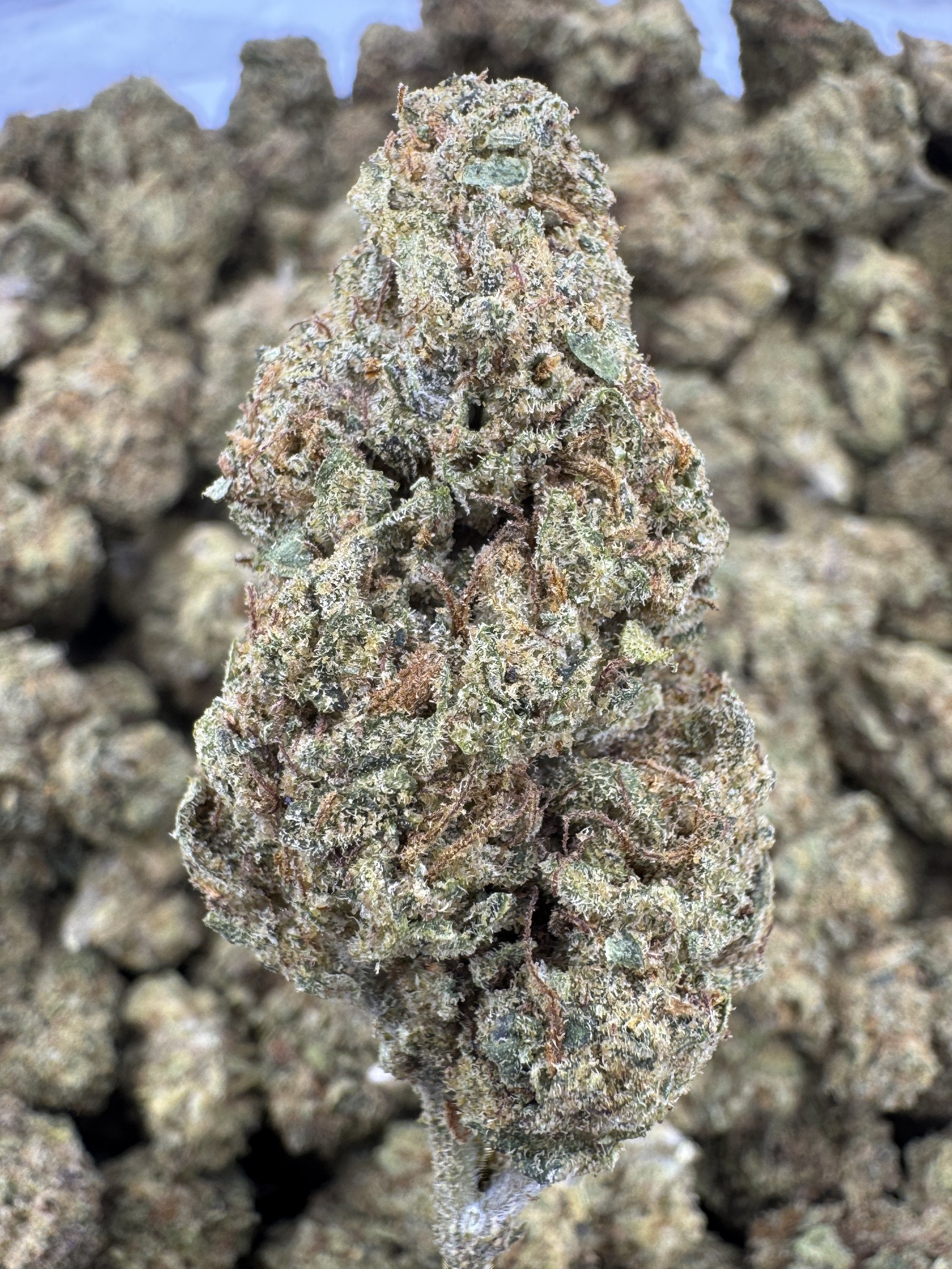 Death Star - THCA BULK Flower - Greenhouse