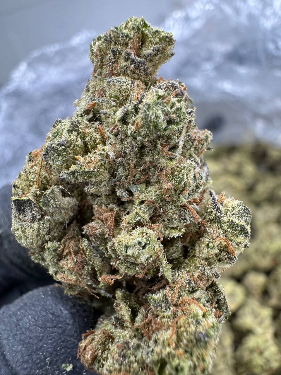 Donny Burger - THCA BULK Flower - Greenhouse
