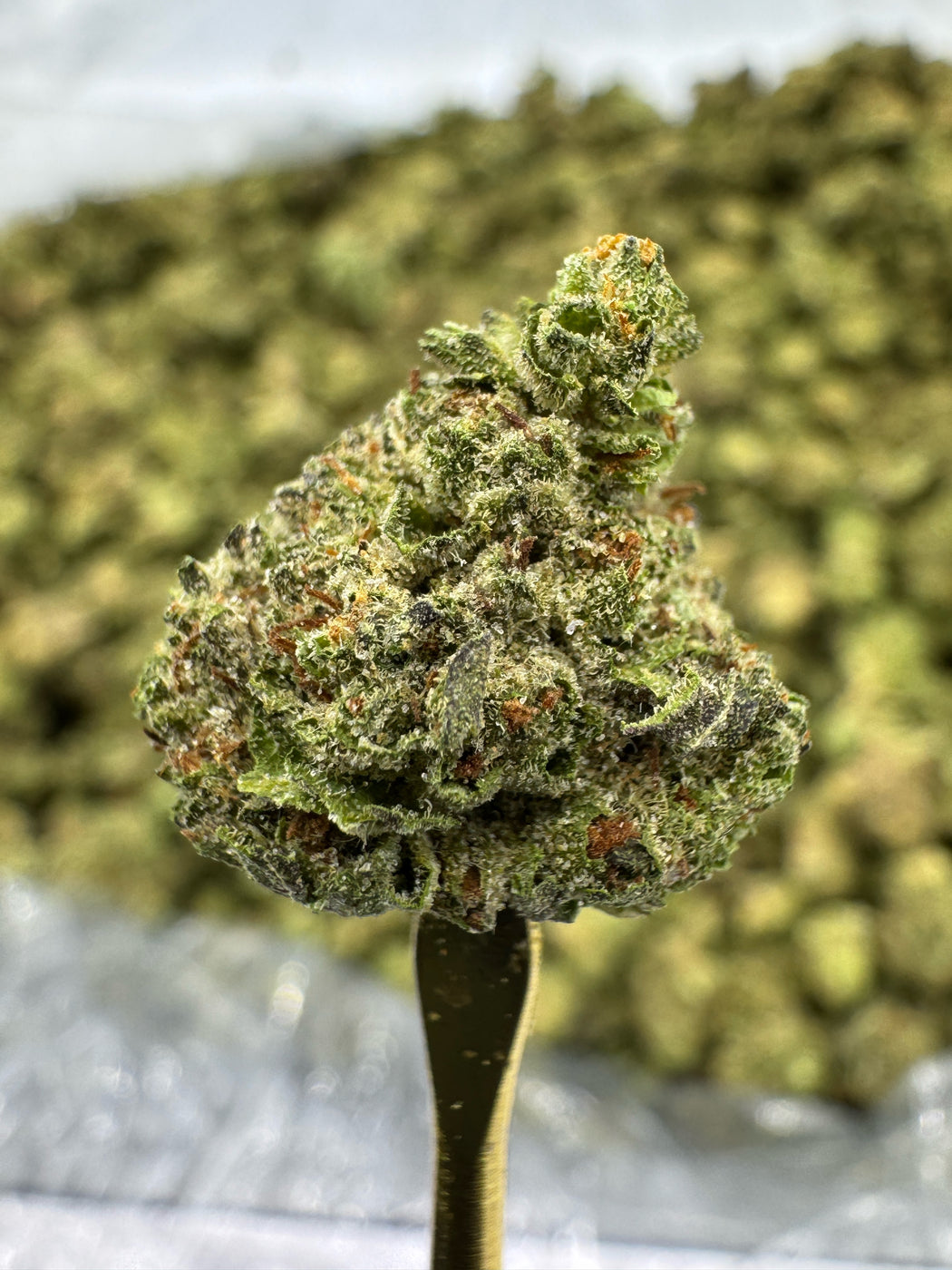 Donut Shop - THCA BULK FLOWER - TOP SHELF SMALLS