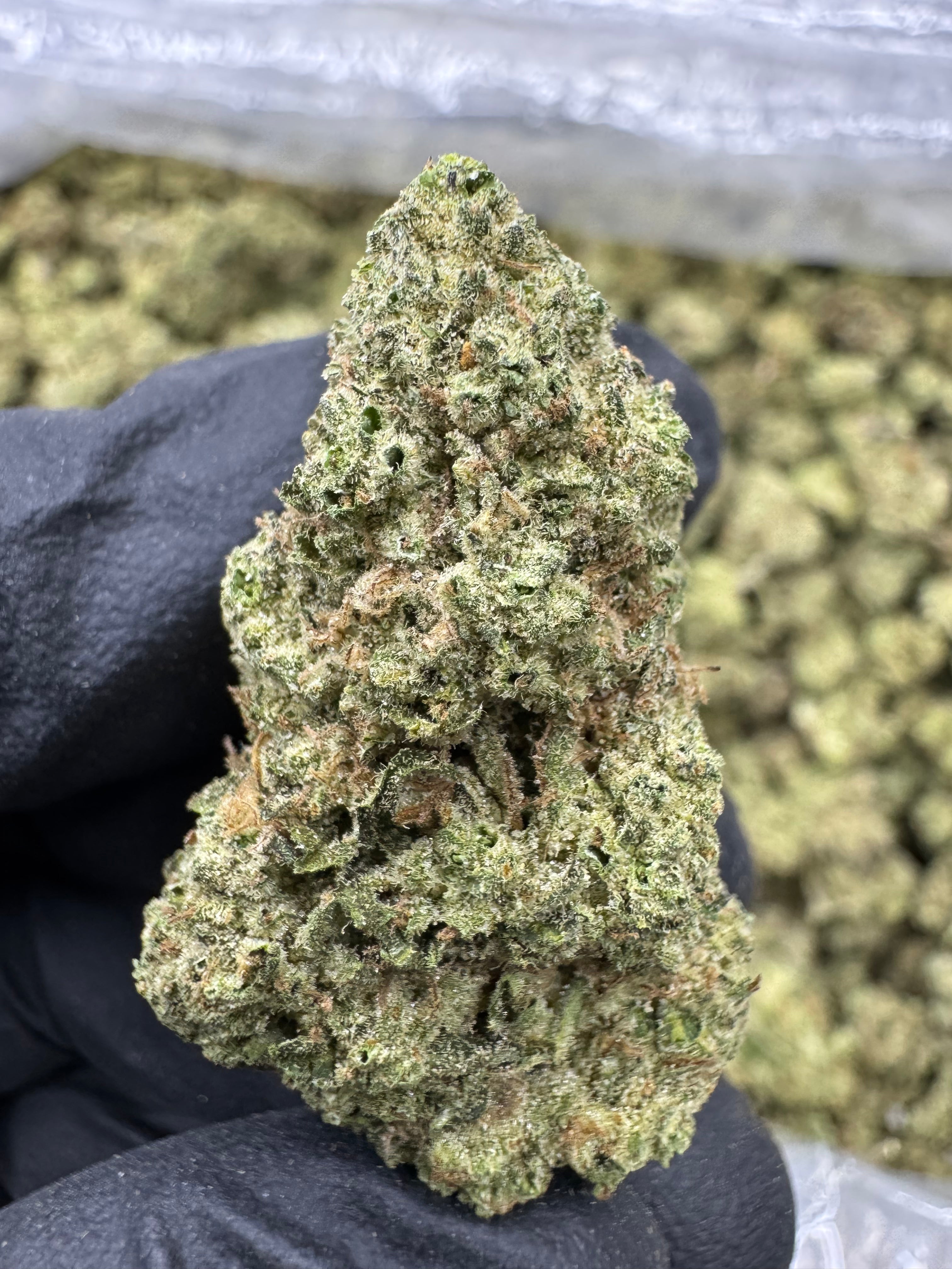 Dosido - THCA BULK Flower - Sungrown