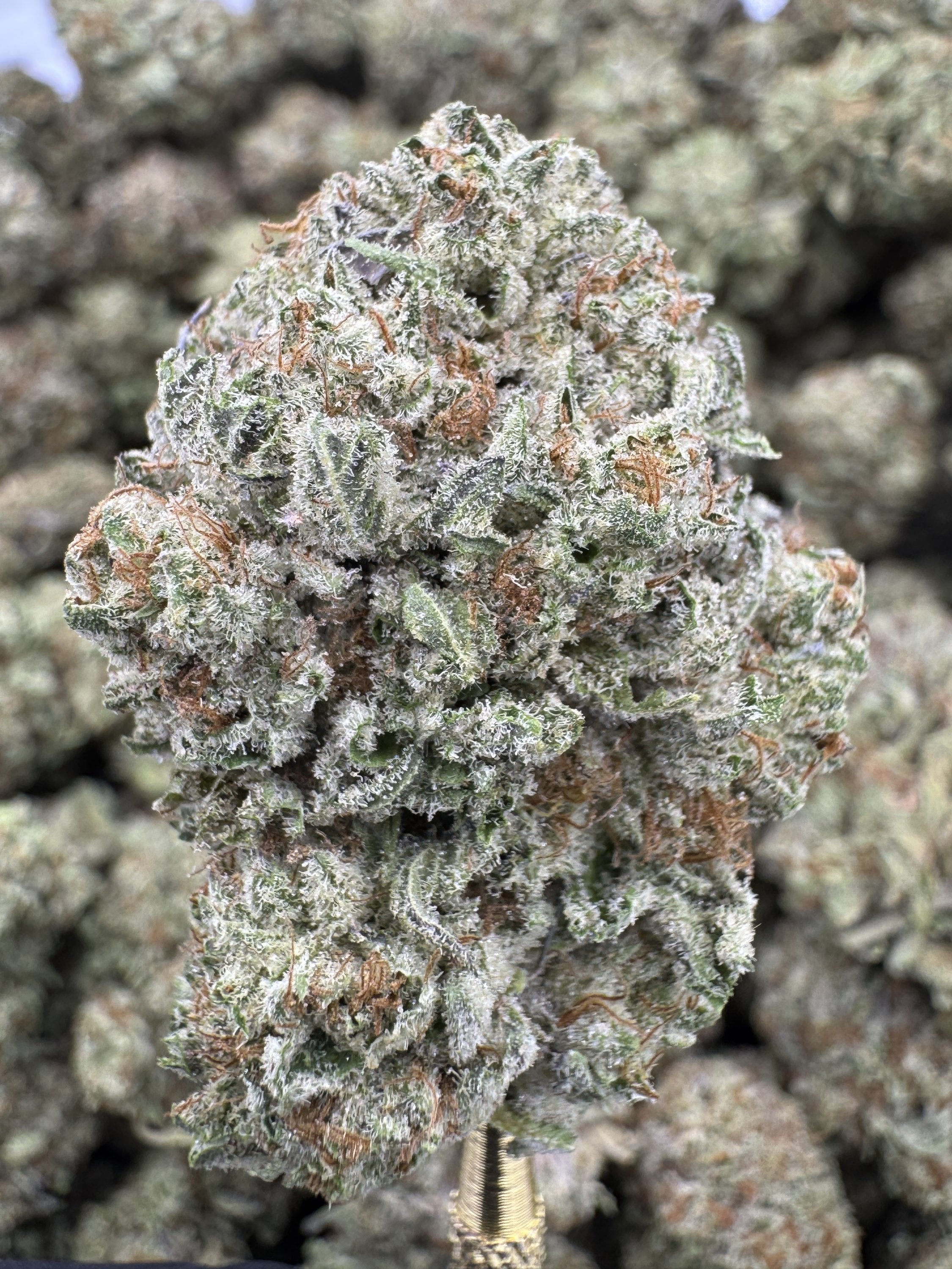 Double Stuffed - THCA BULK Flower - Greenhouse