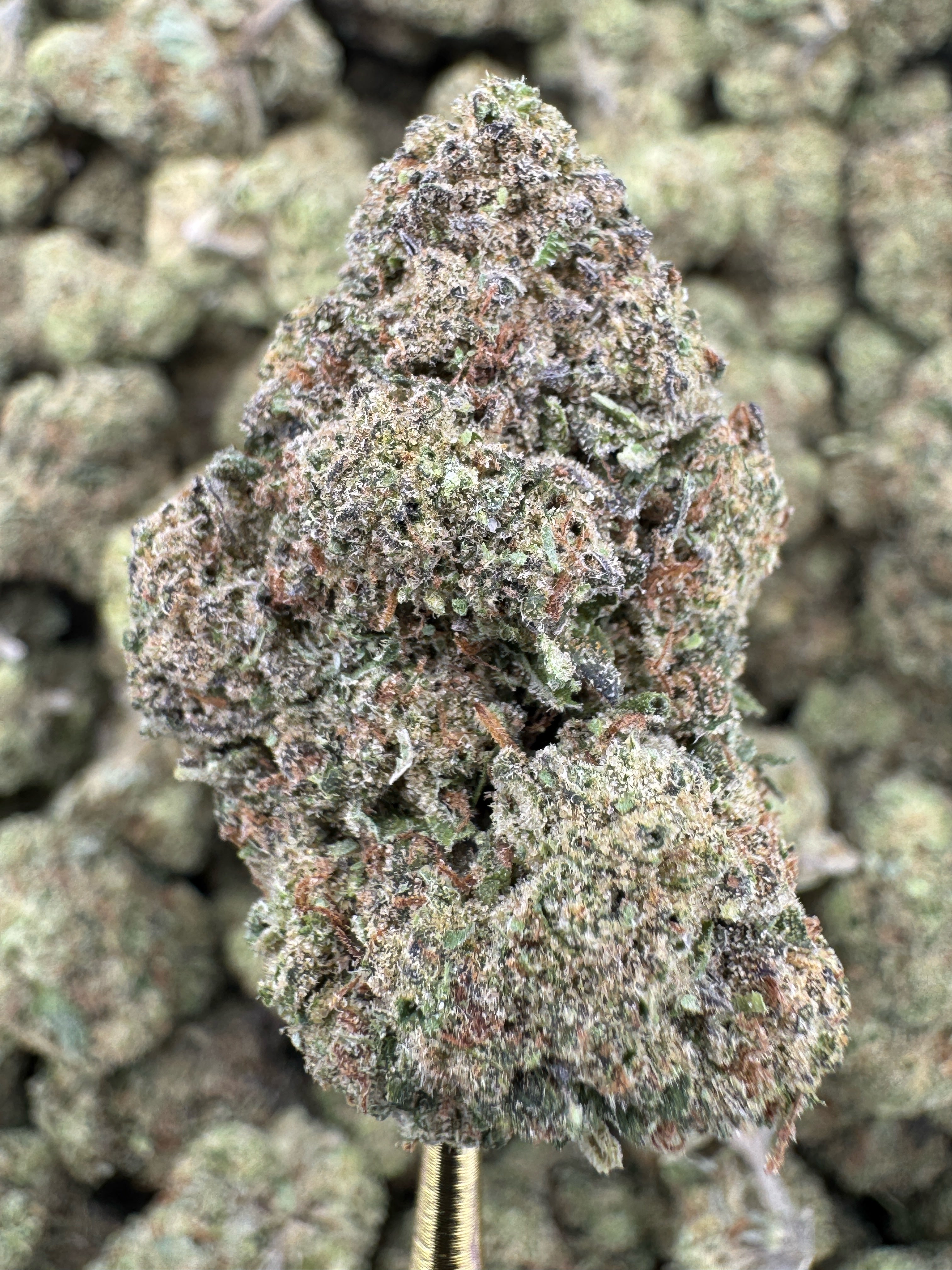 Double Stuffed - THCA Flower - Greenhouse Top Cut