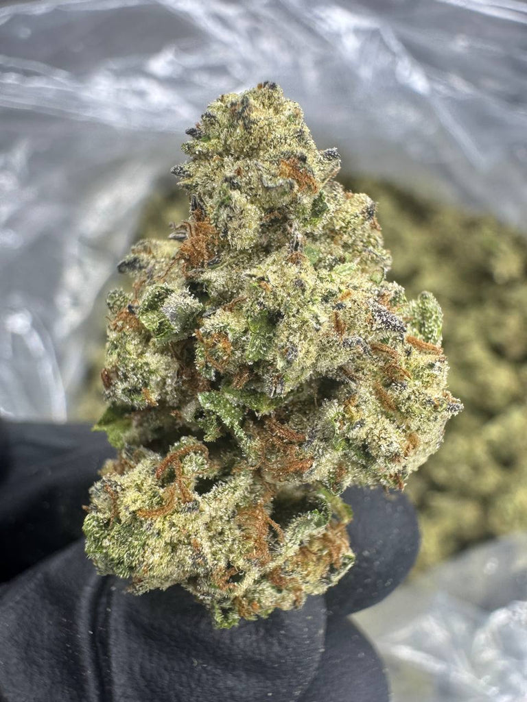 Durban Poison - THCA BULK FLOWER - CLASSIC RESERVE