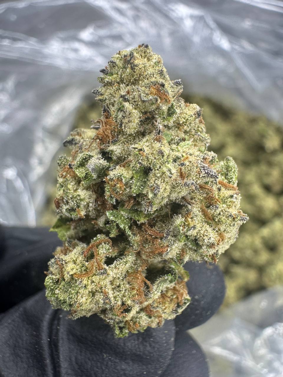 Durban Poison - THCA BULK FLOWER - CLASSIC RESERVE