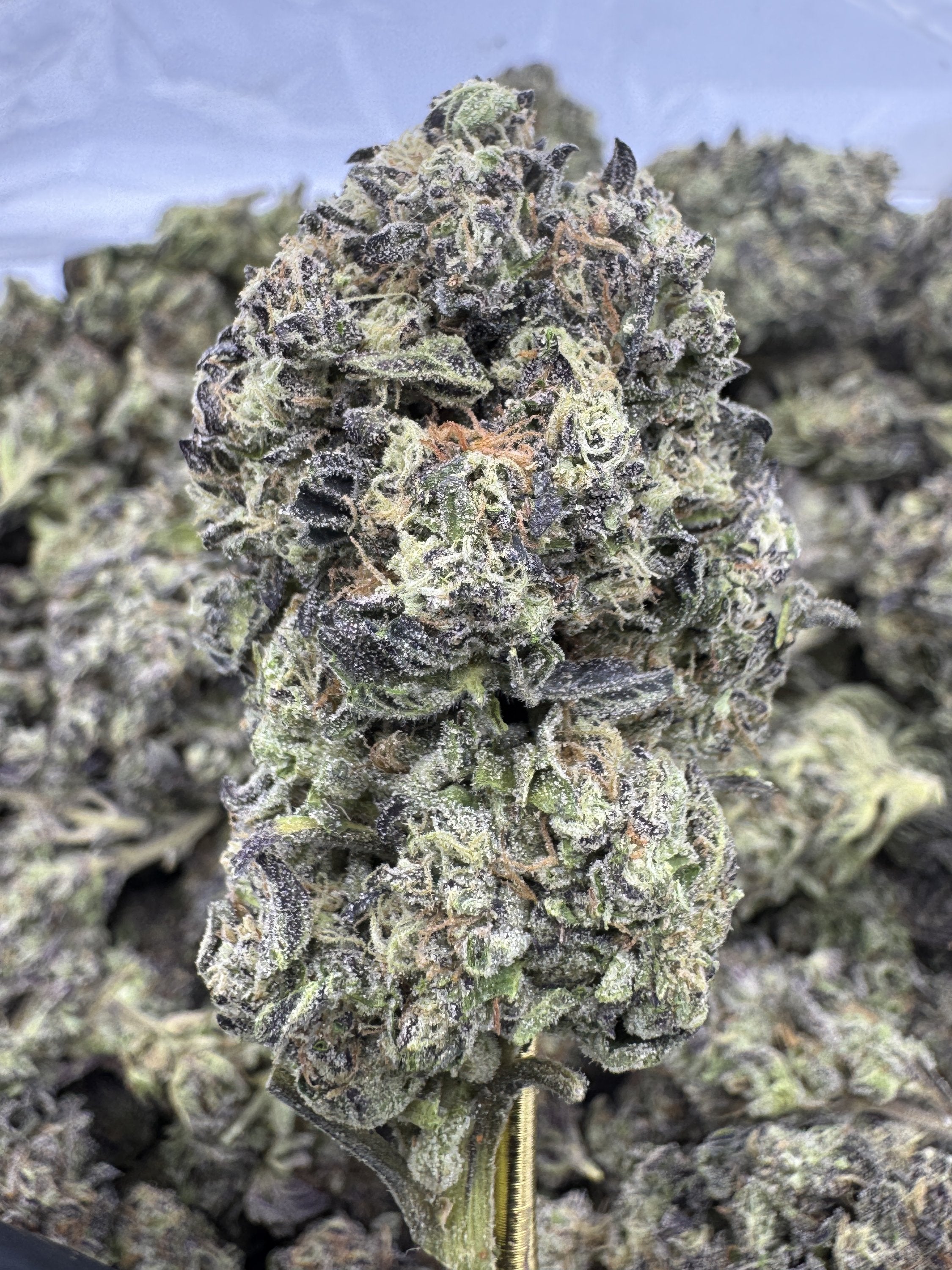Durban Poison - THCA BULK Flower - Greenhouse