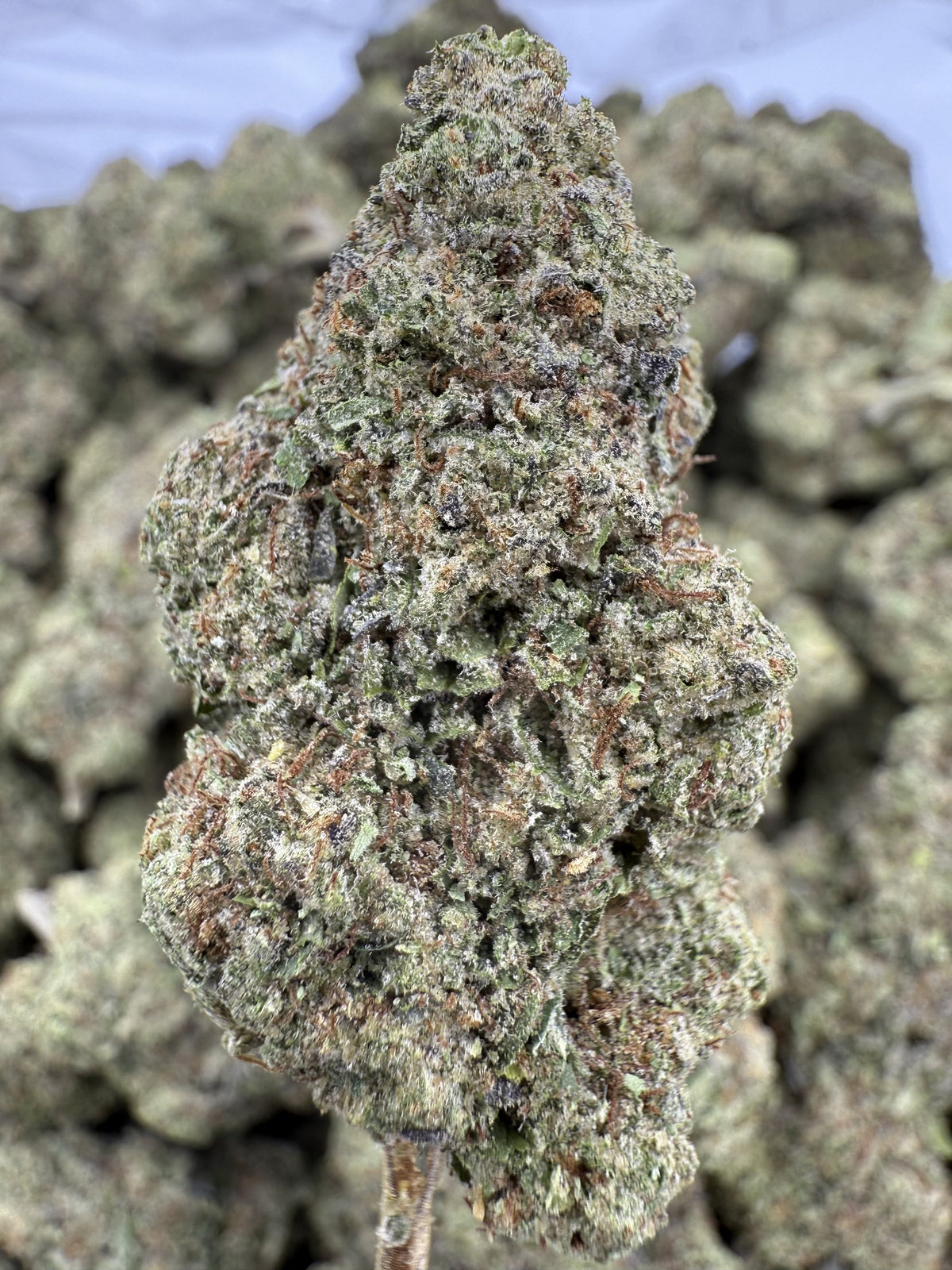 Face Off OG - THCA BULK Flower - Greenhouse