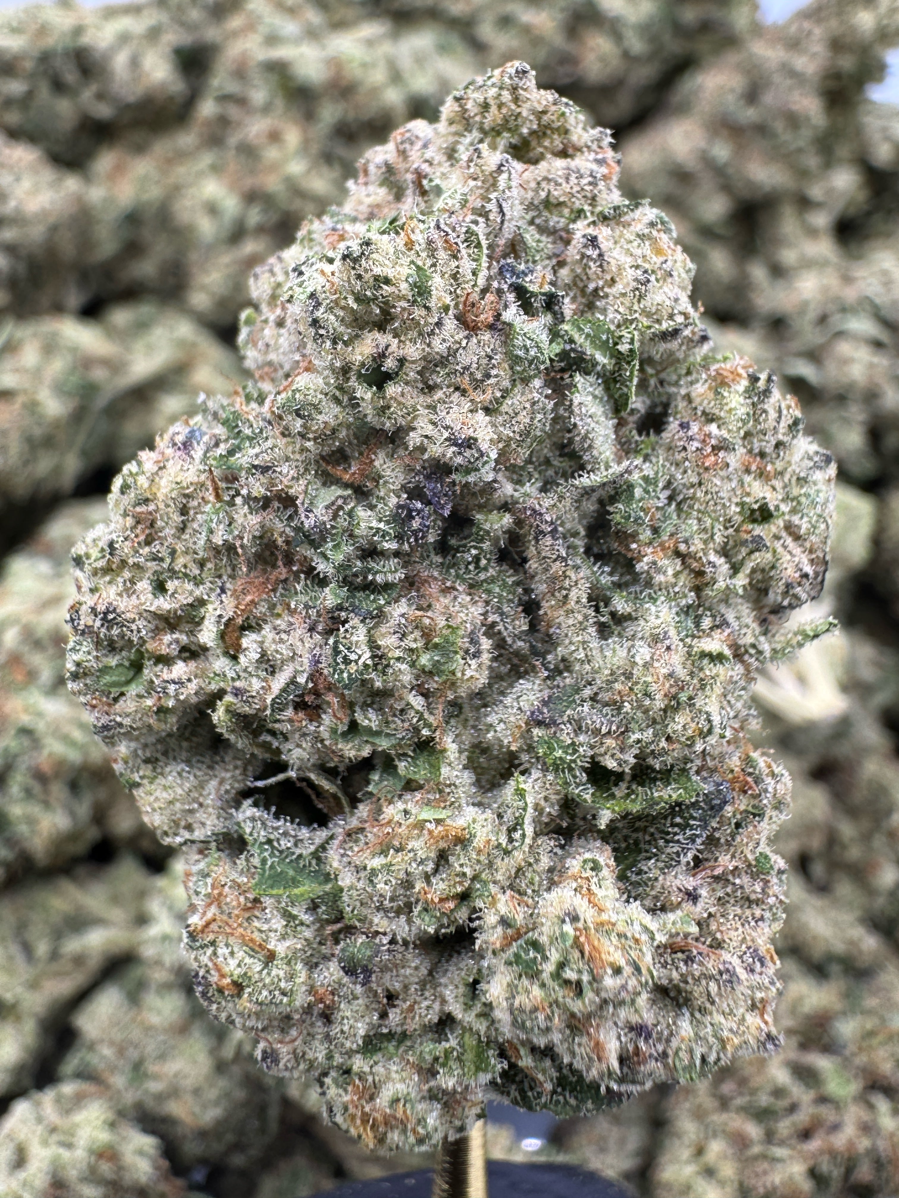 Frosted Cherries - THCA BULK Flower - Indoor