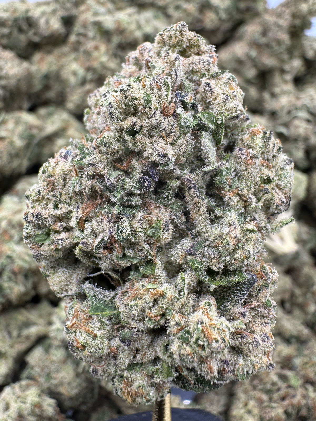 Frosted Cherries - THCA BULK Flower - Indoor