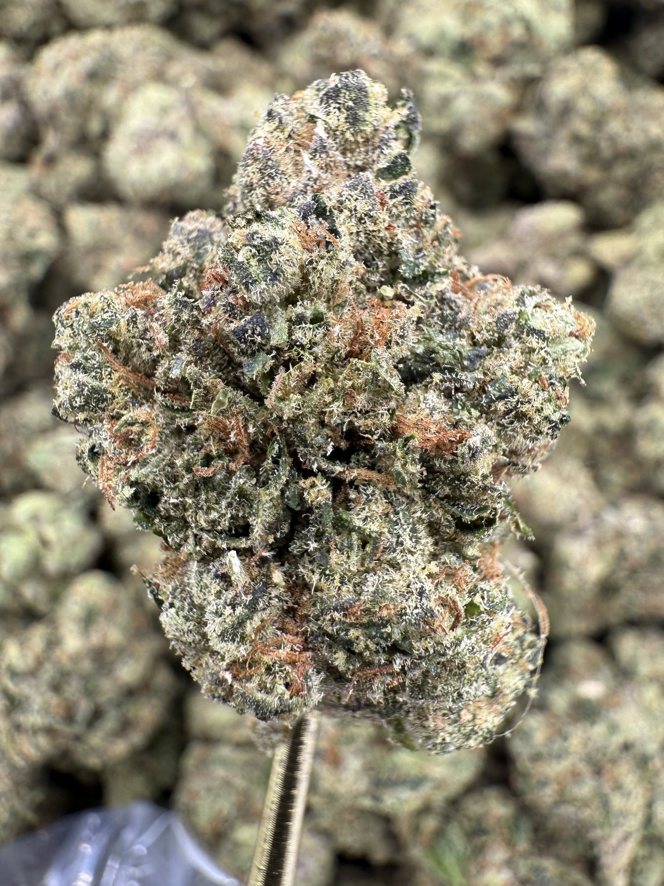 Frosted Cherry - THCA BULK Flower - Indoor