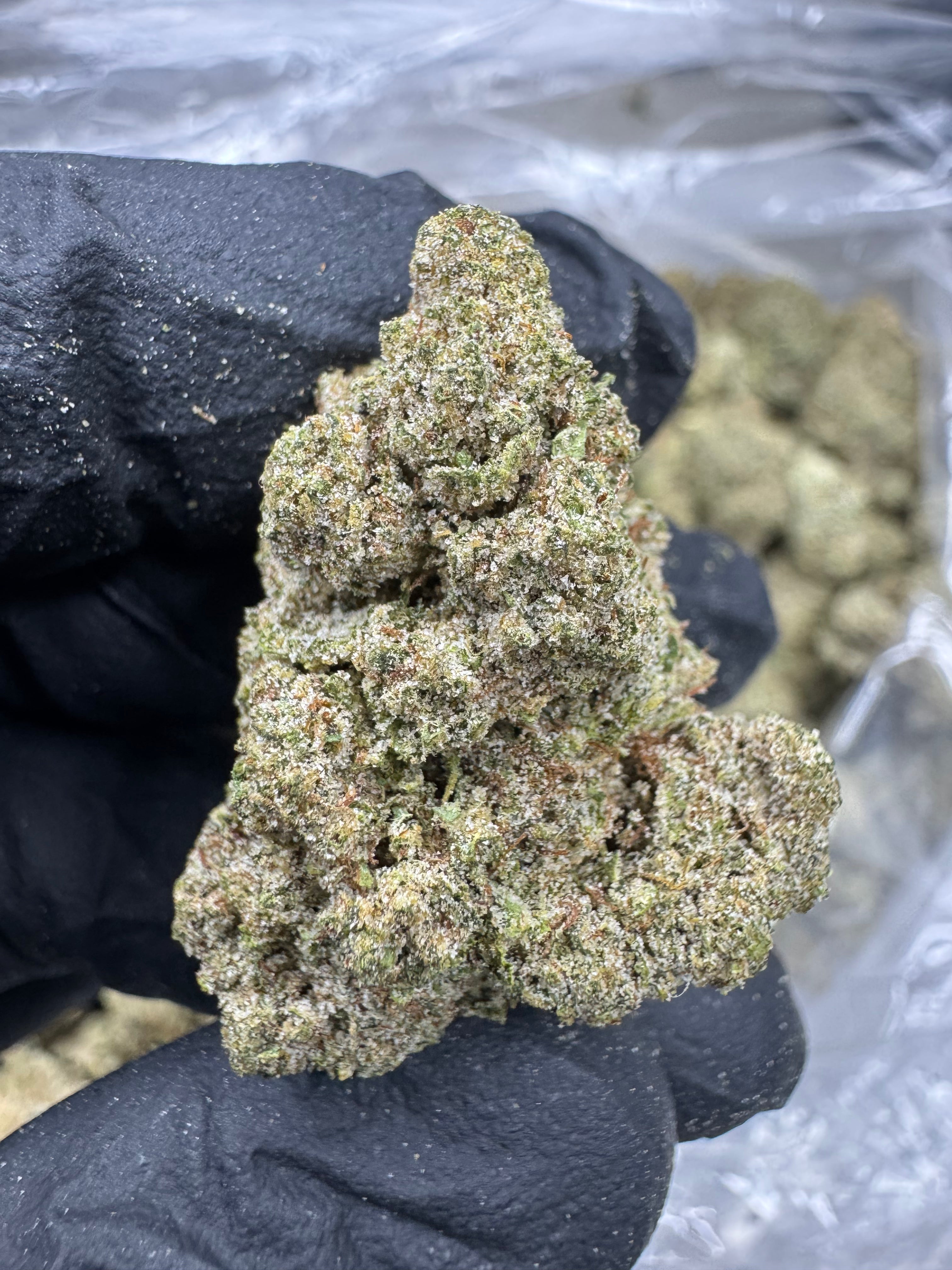 Frozen Lemons - THCP BULK Flower - Sungrown
