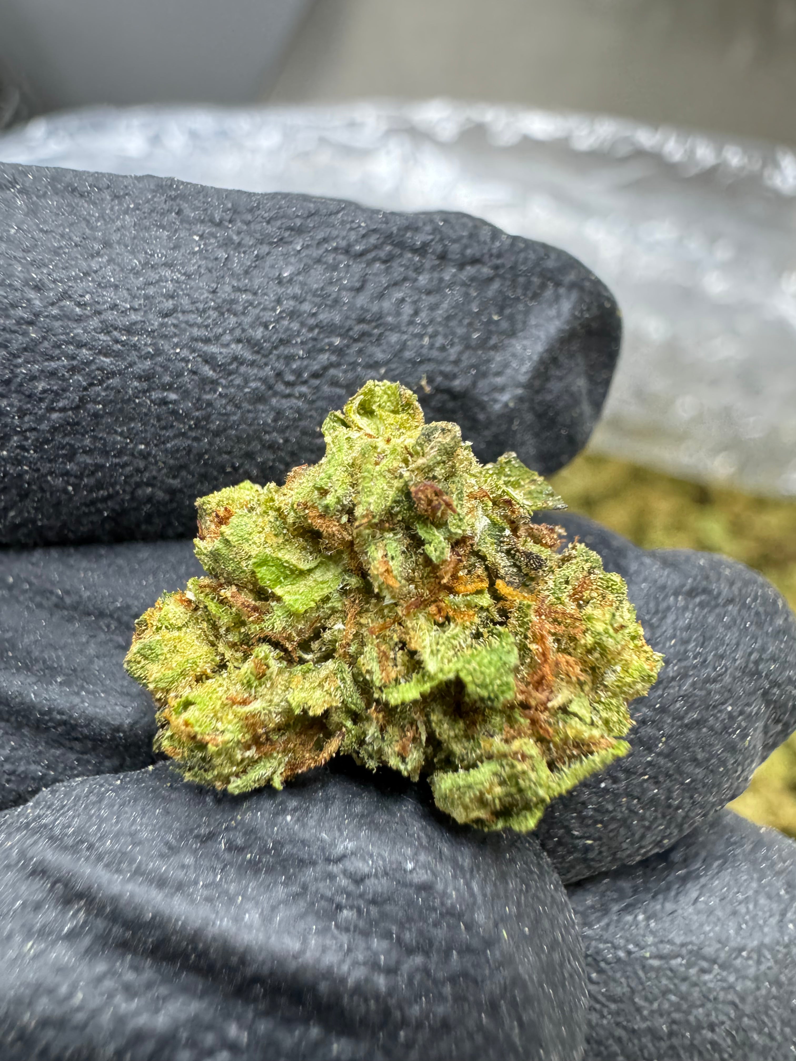 Frozen Lemons - THCA Flower - Greenhouse Gold Nuggets