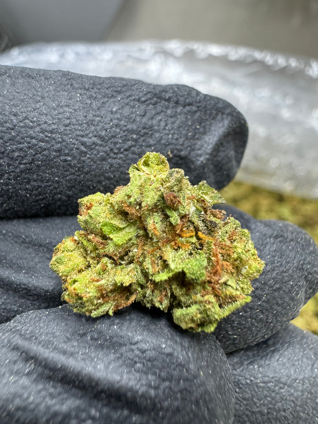 Frozen Lemons - THCA FLOWER - TOP SHELF SMALLS