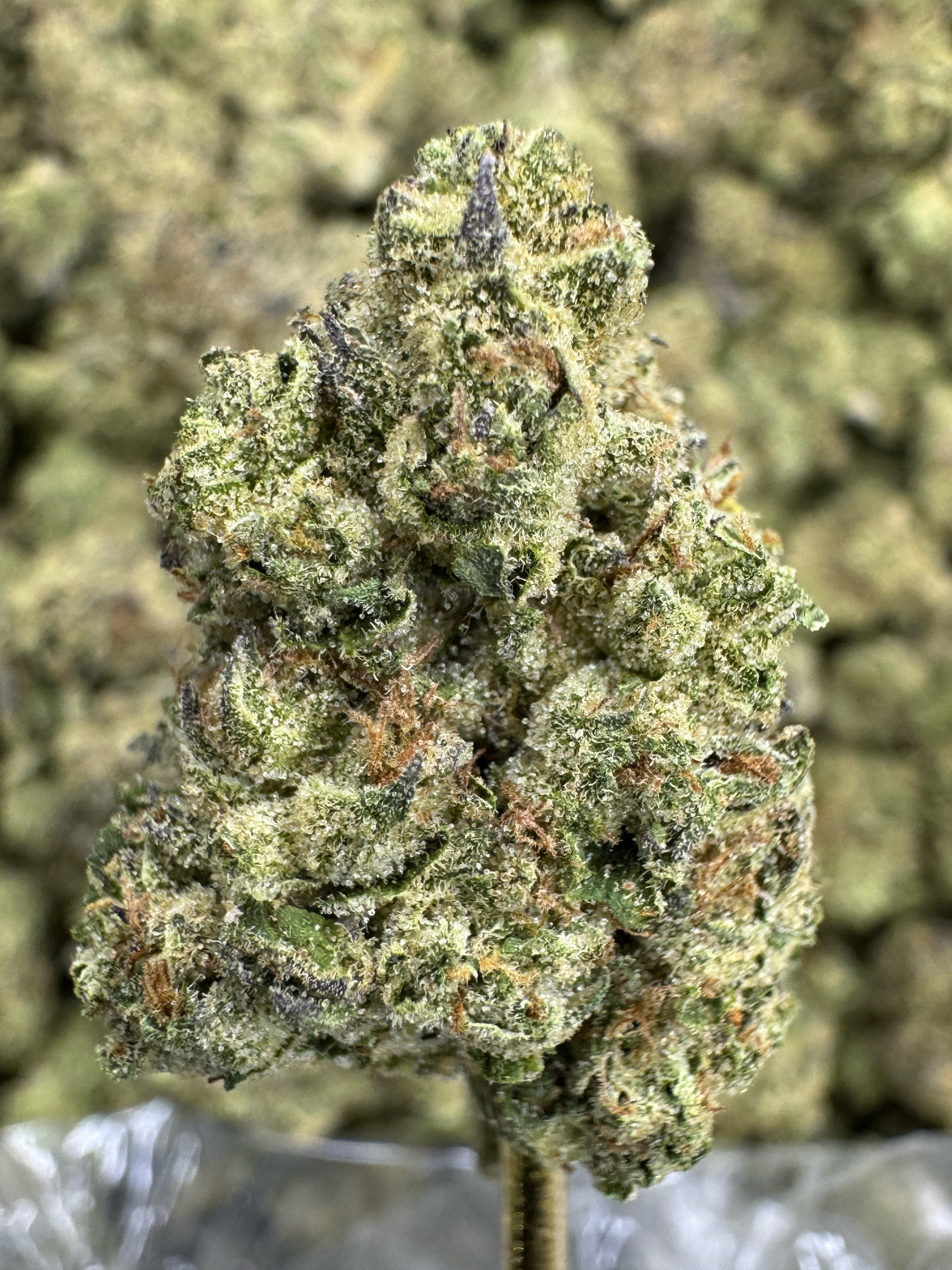 Fruity Pebbles - THCA BULK Flower - Greenhouse