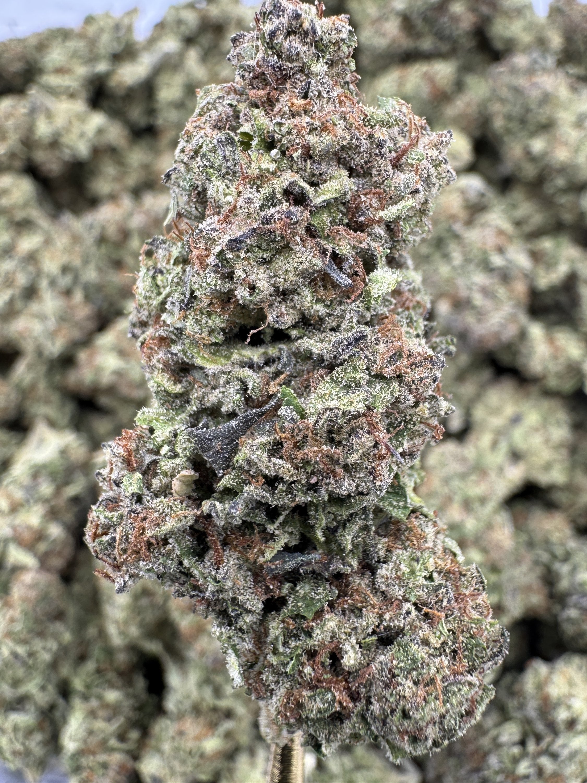 Fruity Pebbles - THCA BULK Flower - Greenhouse