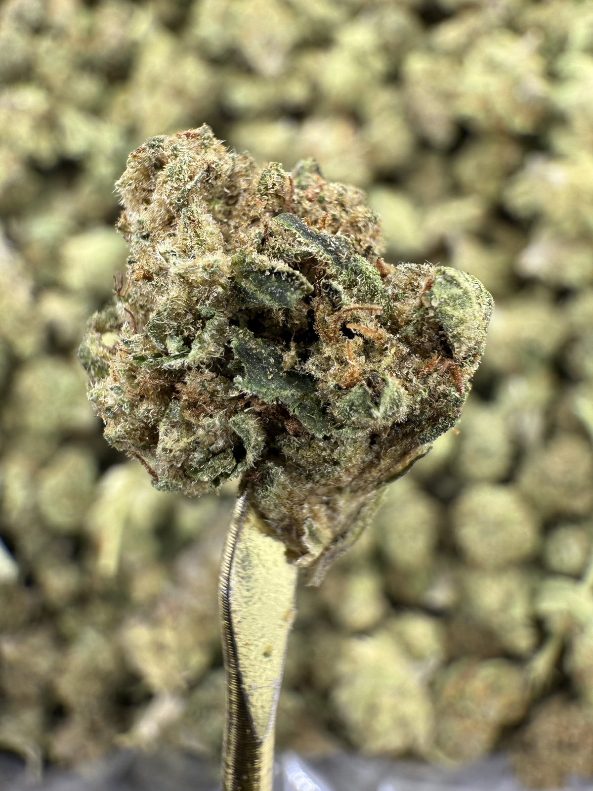 Fruity Pebbles - THCA Flower - Greenhouse Gold Nuggets