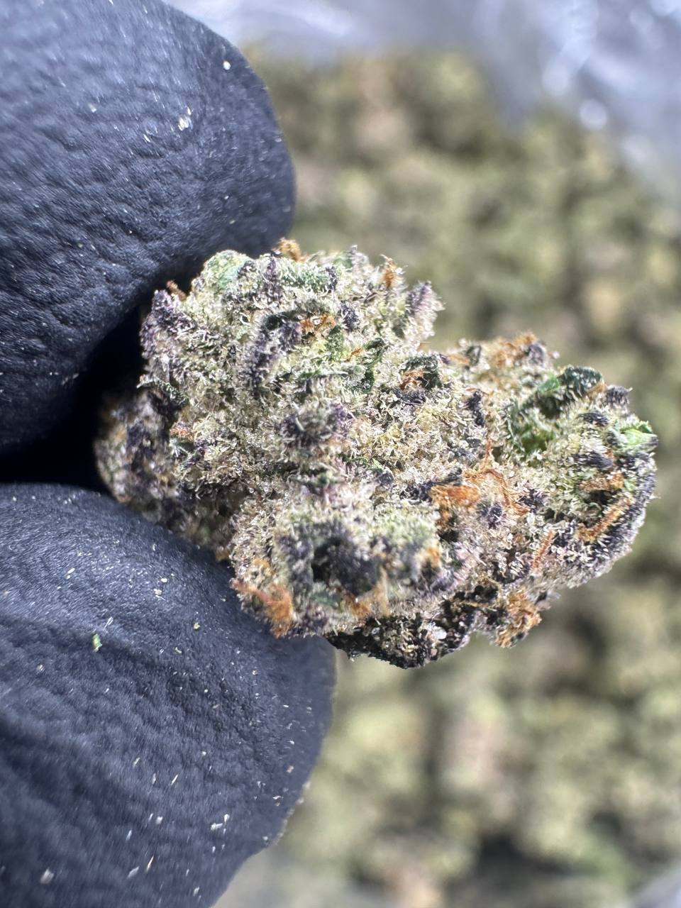 Funnel Cake - THCA BULK Flower - Indoor Smalls Exotic