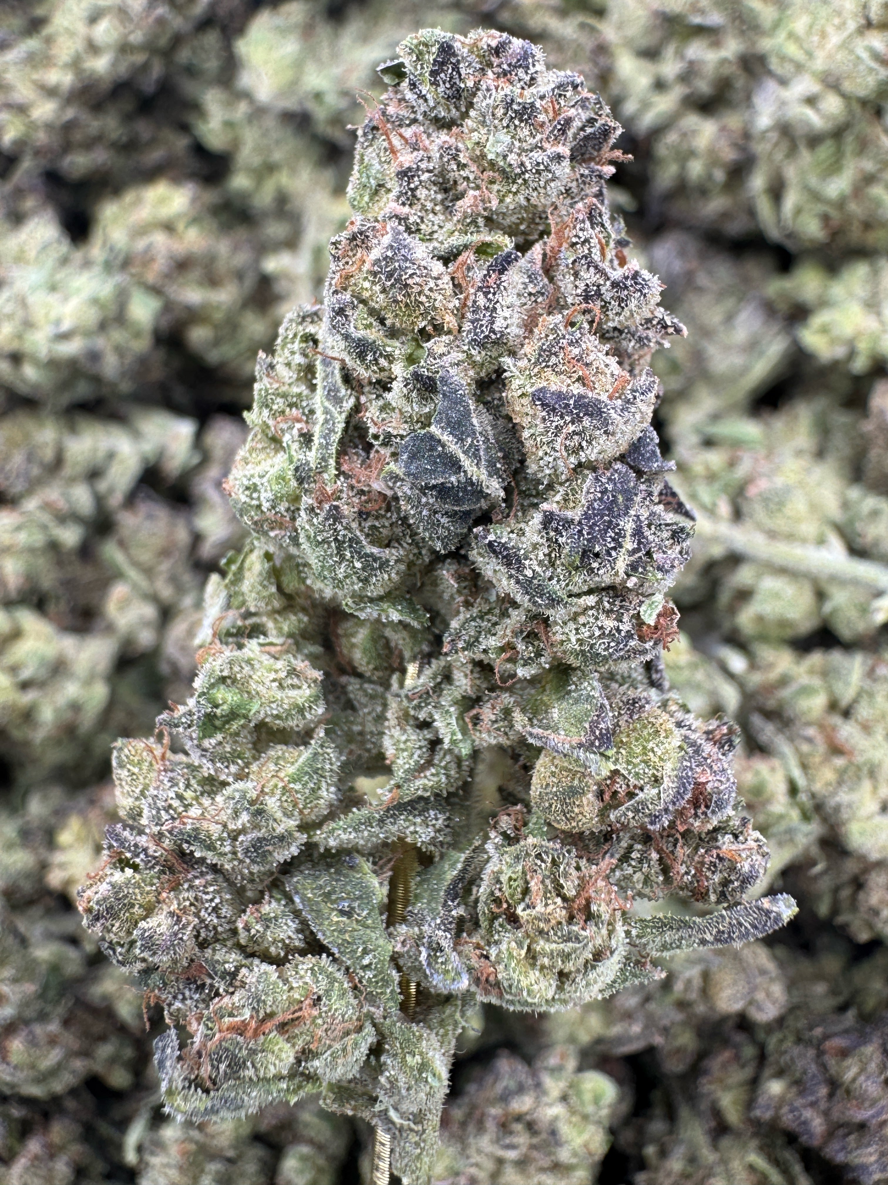 GMO - THCA Flower - Greenhouse Top Cut