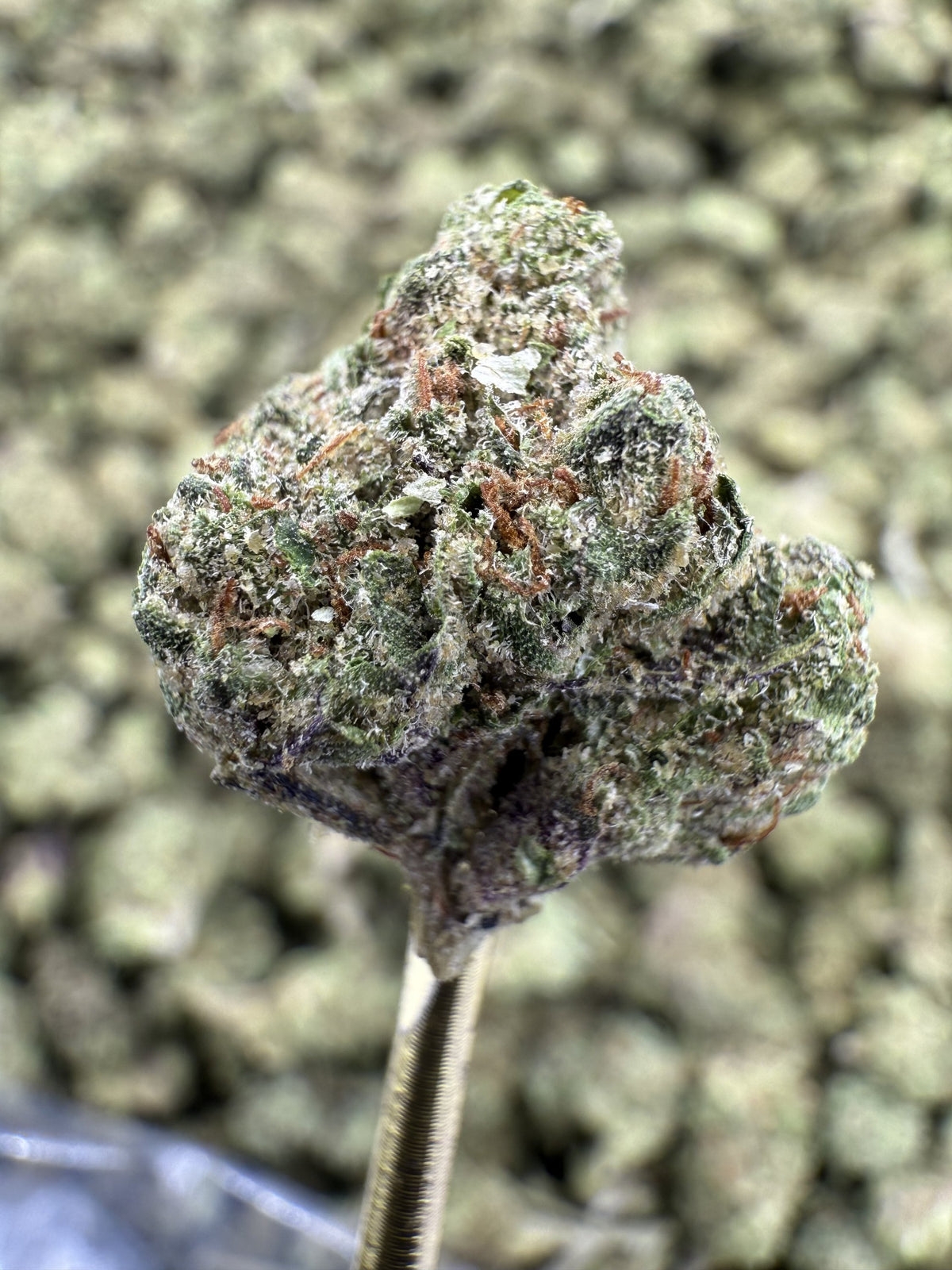 Galactic Warheads - THCA Flower - Greenhouse Gold Nuggets