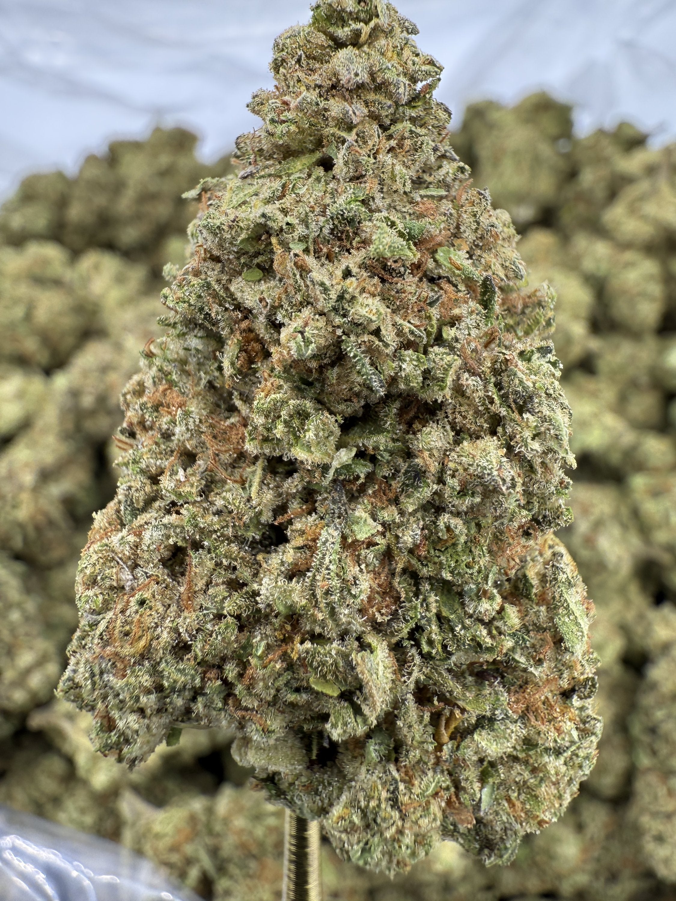 Garlic Juice - THCA BULK Flower - Greenhouse
