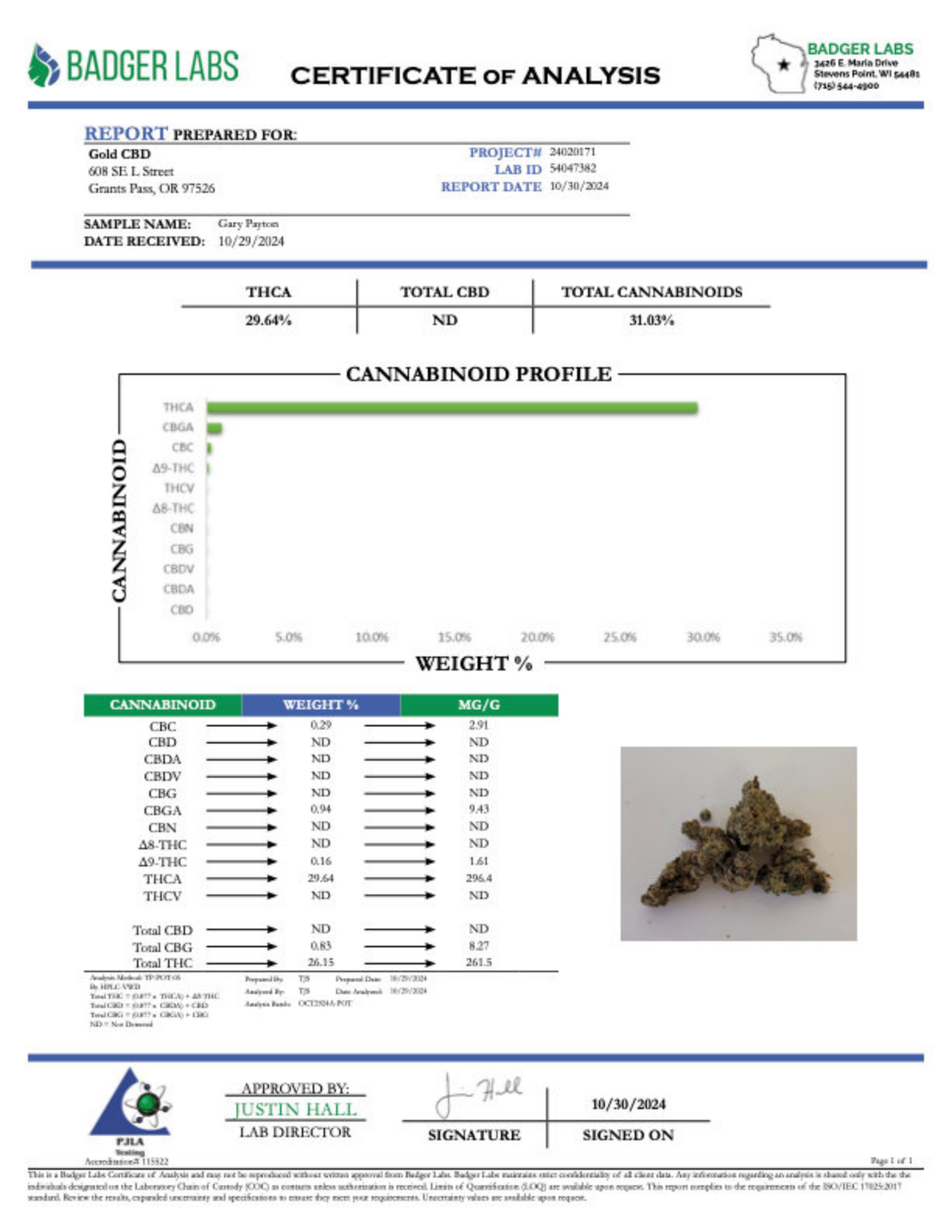 Gary Payton - THCA BULK Flower - Greenhouse