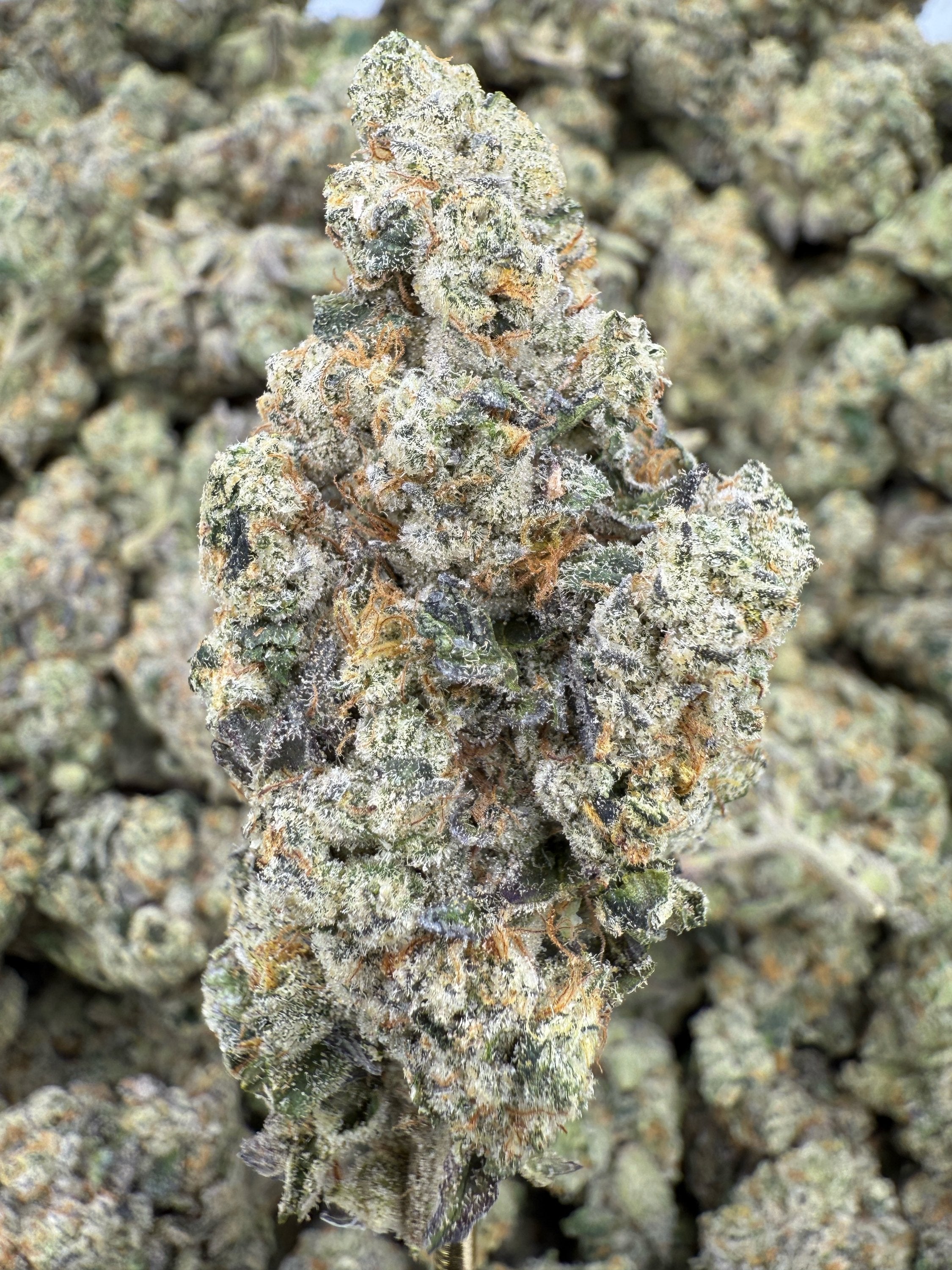 Gas Face - THCA Flower - Indoor Top Cut