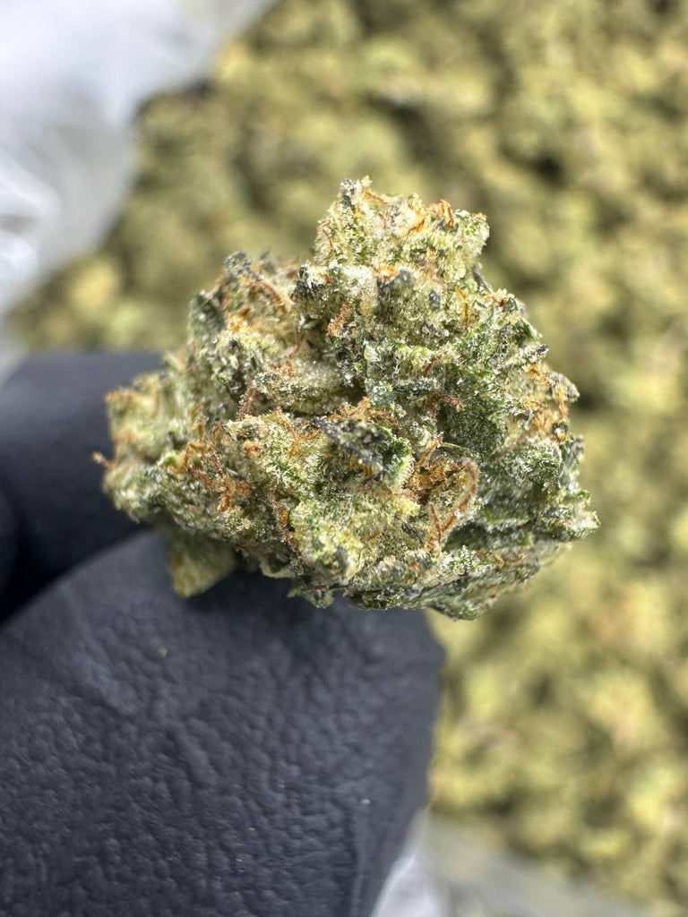 Gas Face - Gold Nuggets - THCa Flower CLASSIC RESERVE SMALLS