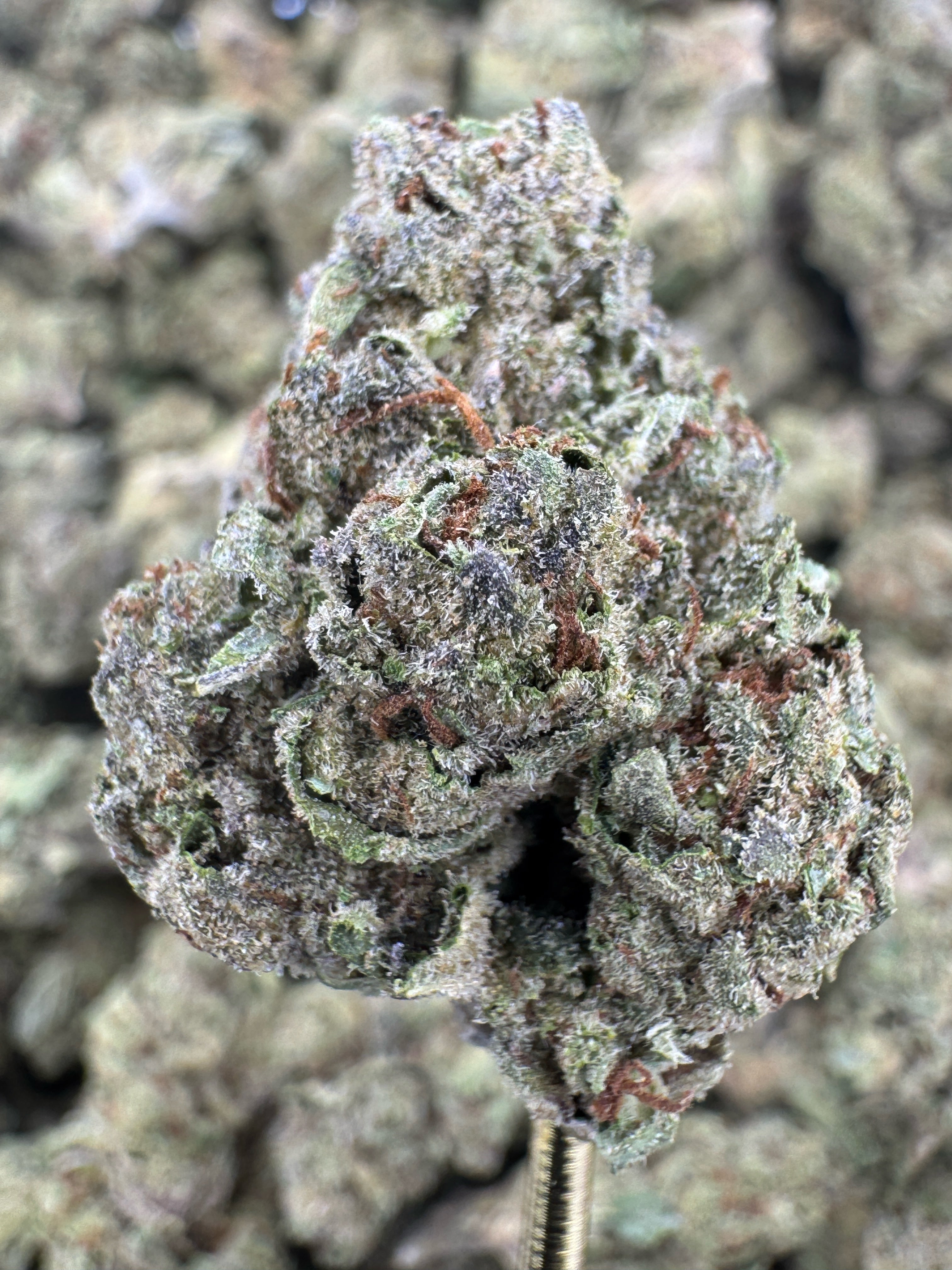 Gas Face - THCA Flower - Sungrown Top Cut
