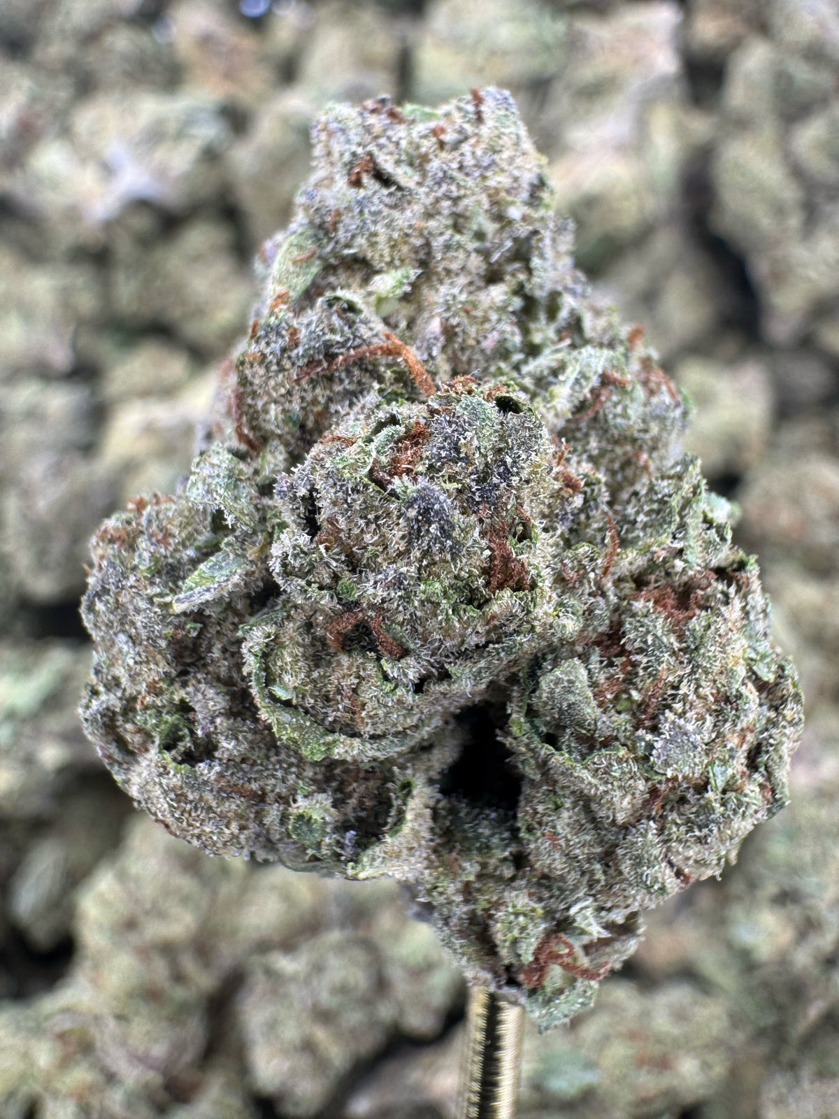 Gas Face - THCA Flower - Sungrown Top Cut
