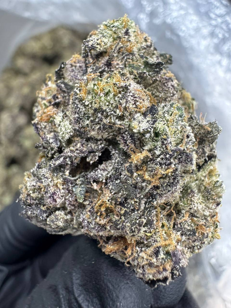 Gelato 33 - THCA BULK FLOWER - EXOTIC INDOOR