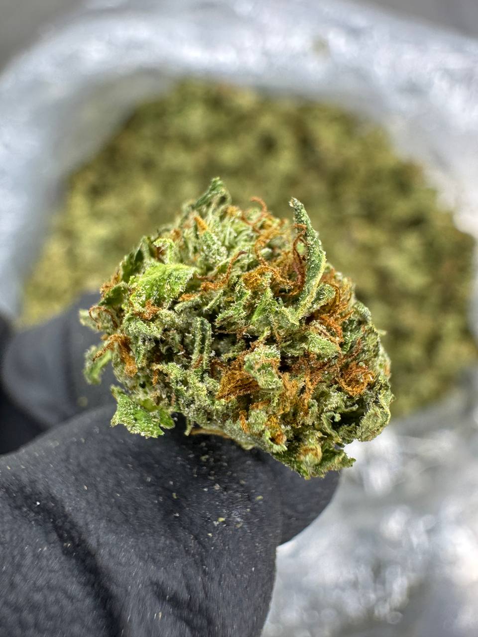 Gelato 41 - THCA Flower - Sungrown Gold Nuggets